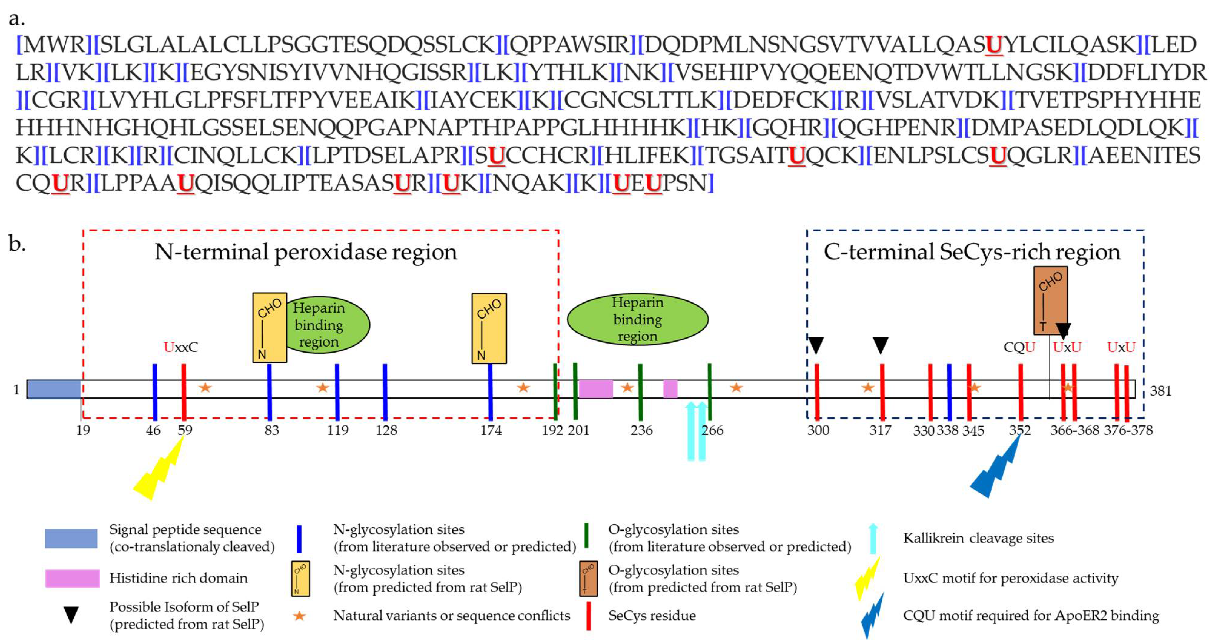 Ijms 22 06283 g002 Ijms 22 06283 g002