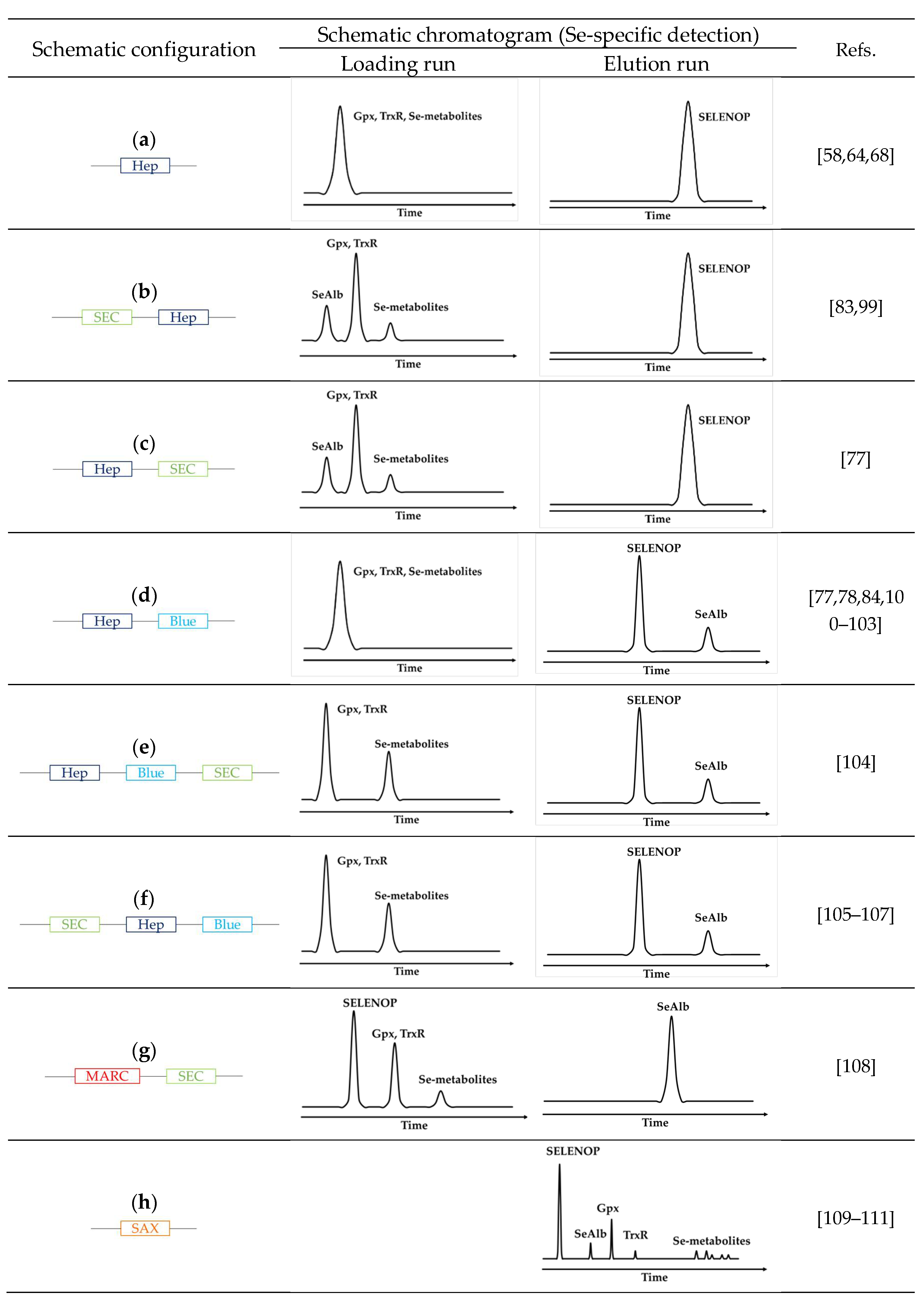 Ijms 22 06283 g003 Ijms 22 06283 g003