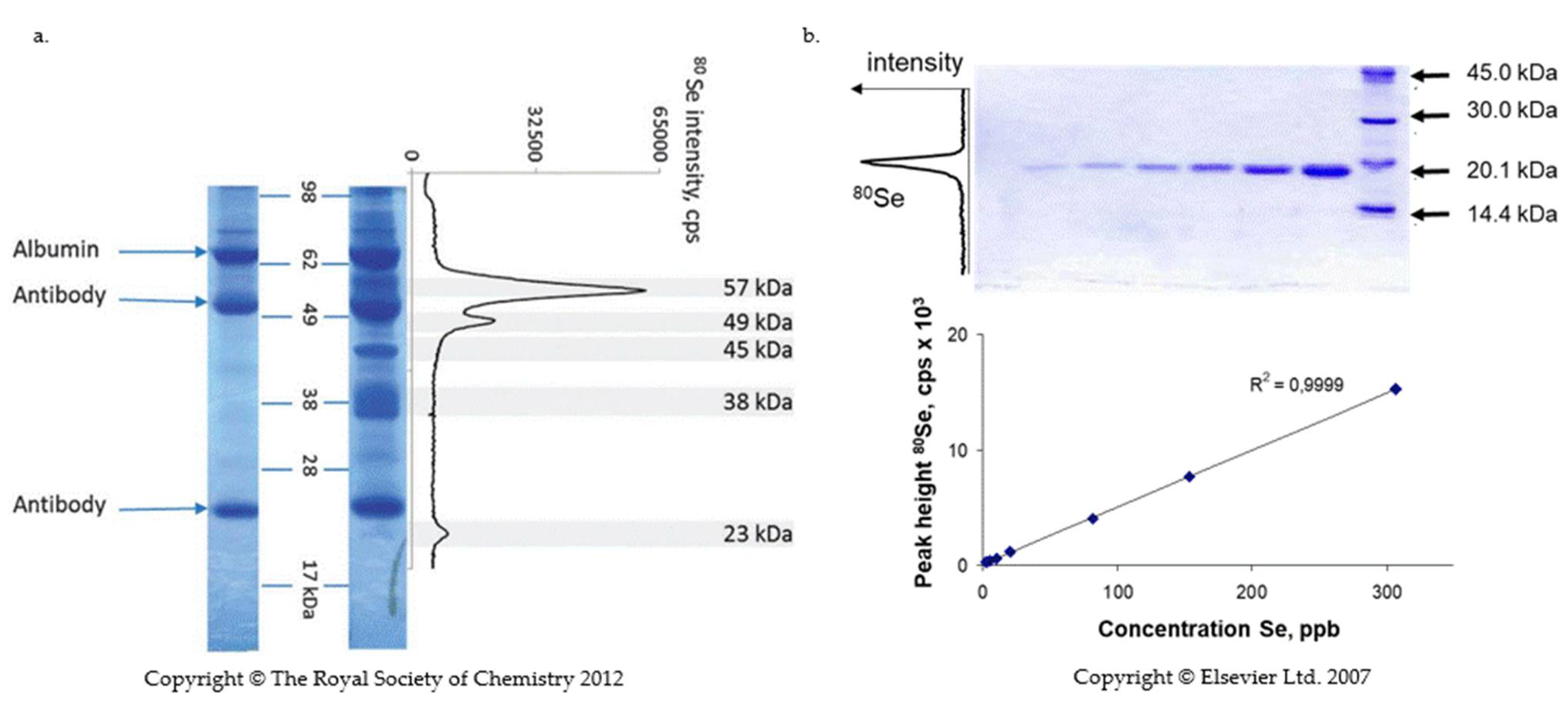 Ijms 22 06283 g004 Ijms 22 06283 g004