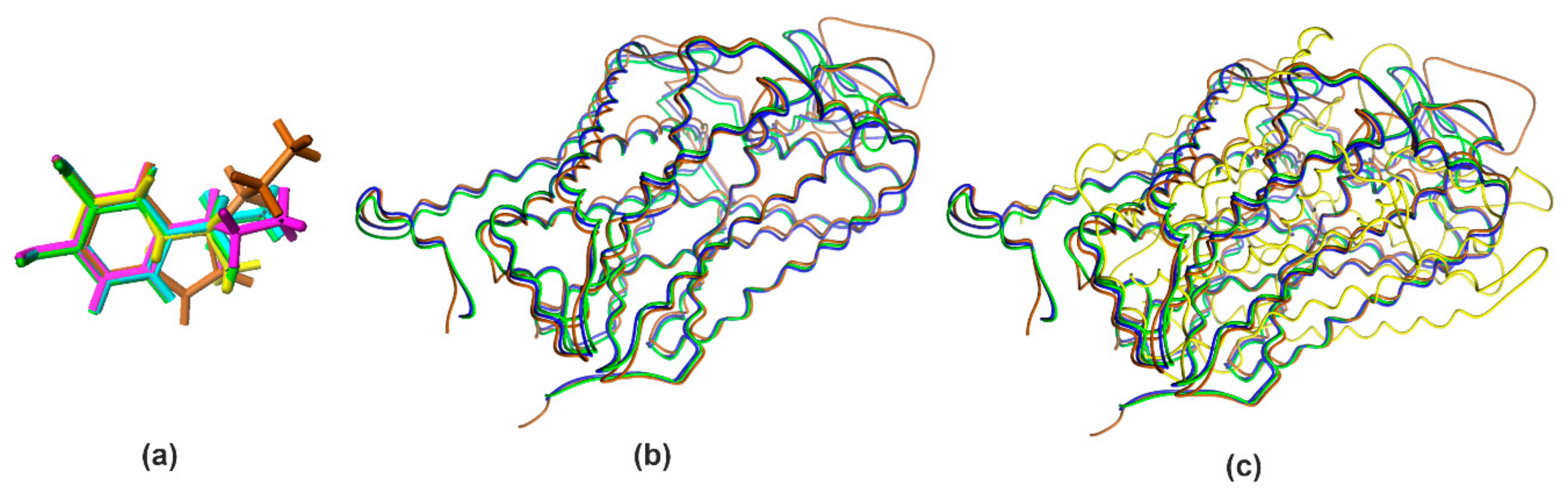 Ijms 22 06293 g001 Ijms 22 06293 g001