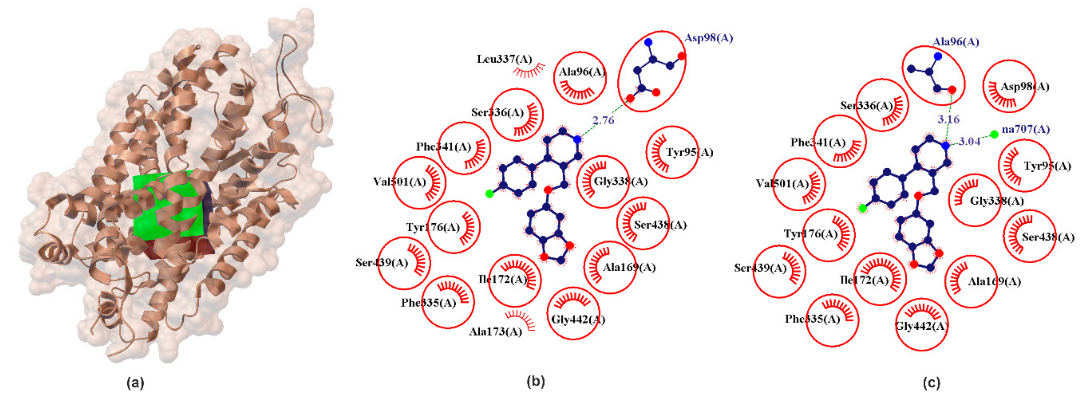 Ijms 22 06293 g002 Ijms 22 06293 g002