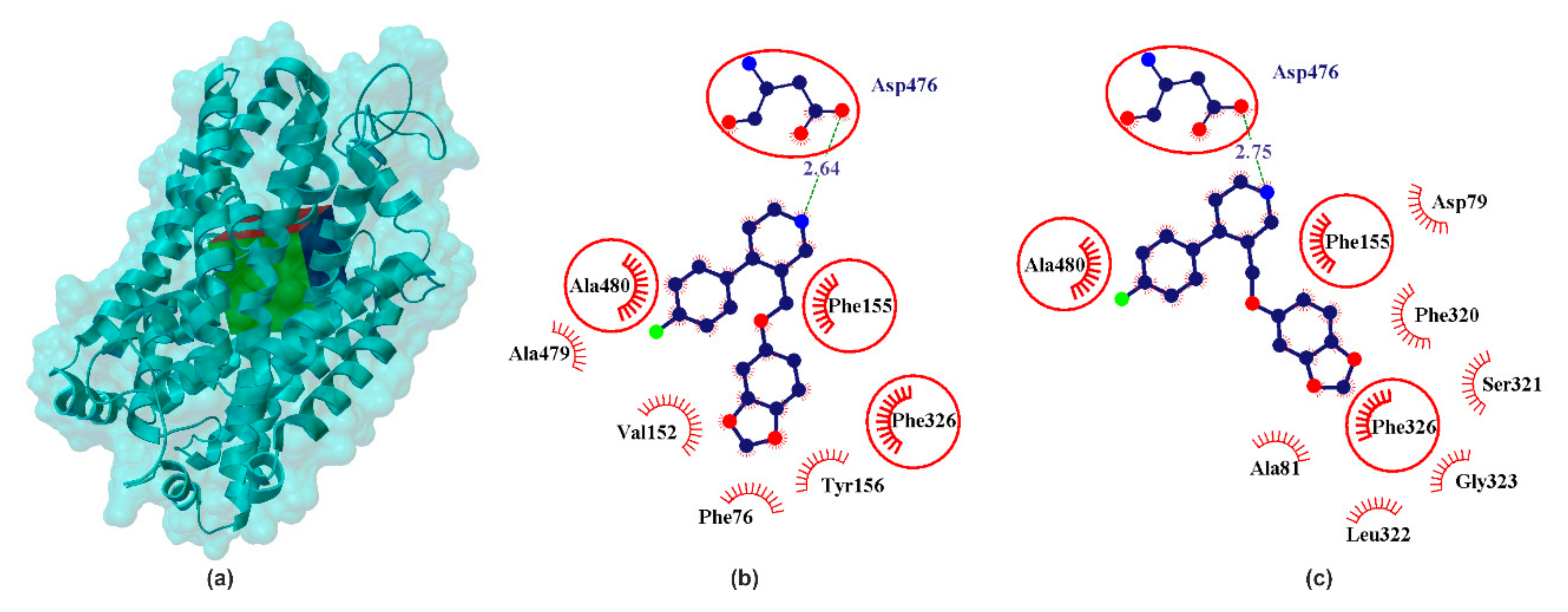 Ijms 22 06293 g003 Ijms 22 06293 g003