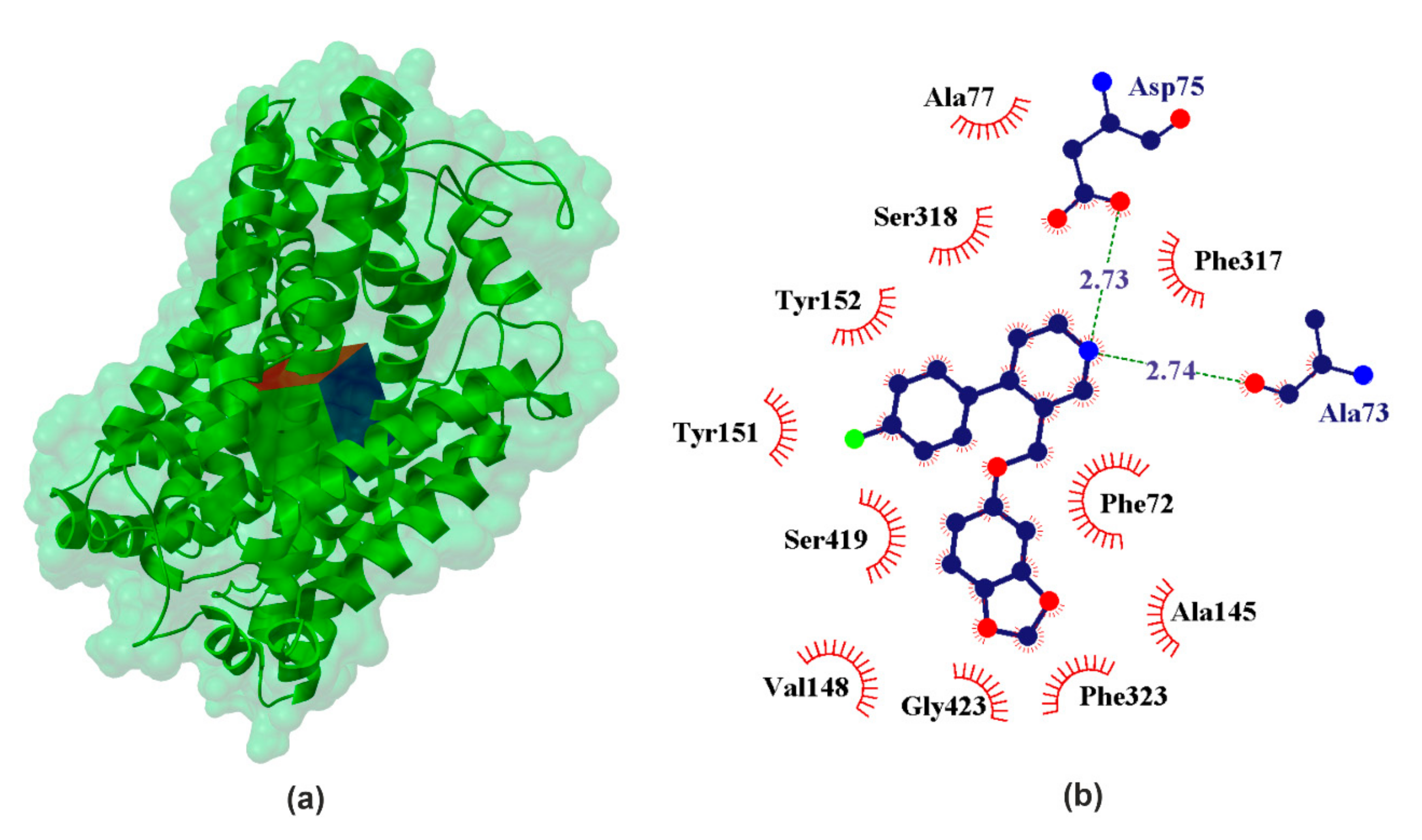 Ijms 22 06293 g004 Ijms 22 06293 g004