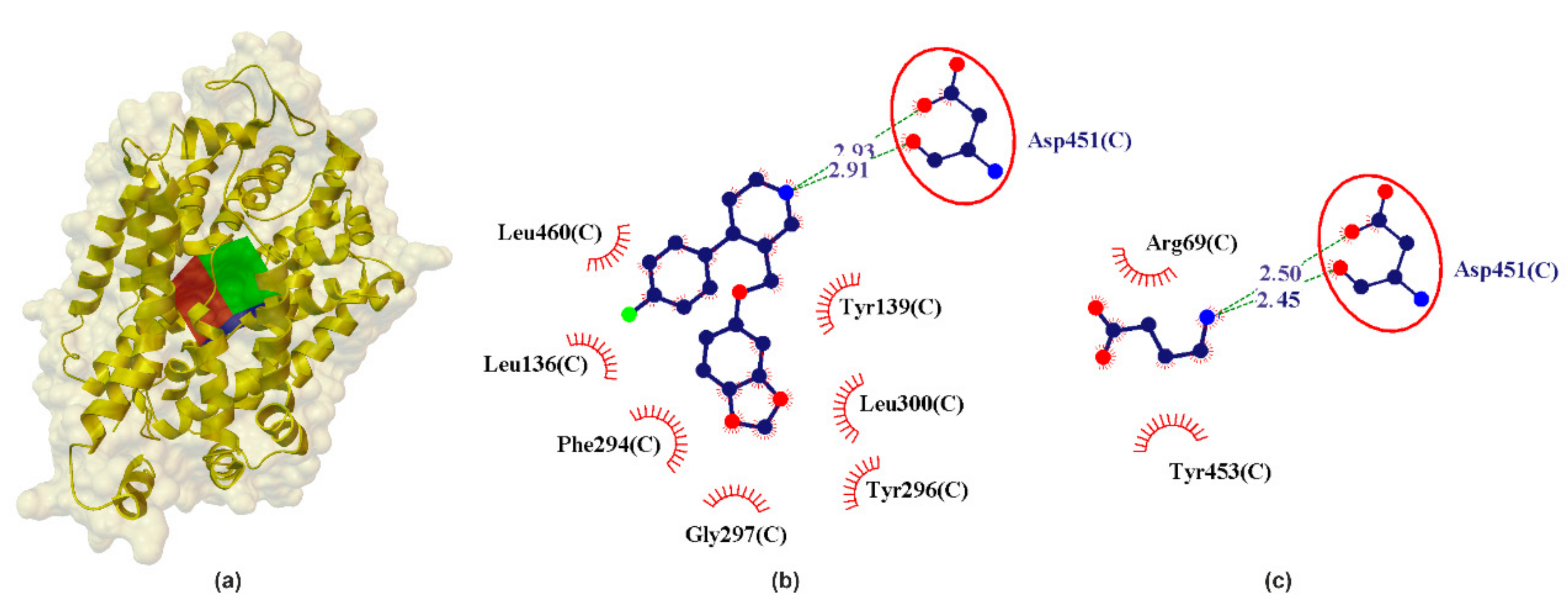 Ijms 22 06293 g005 Ijms 22 06293 g005