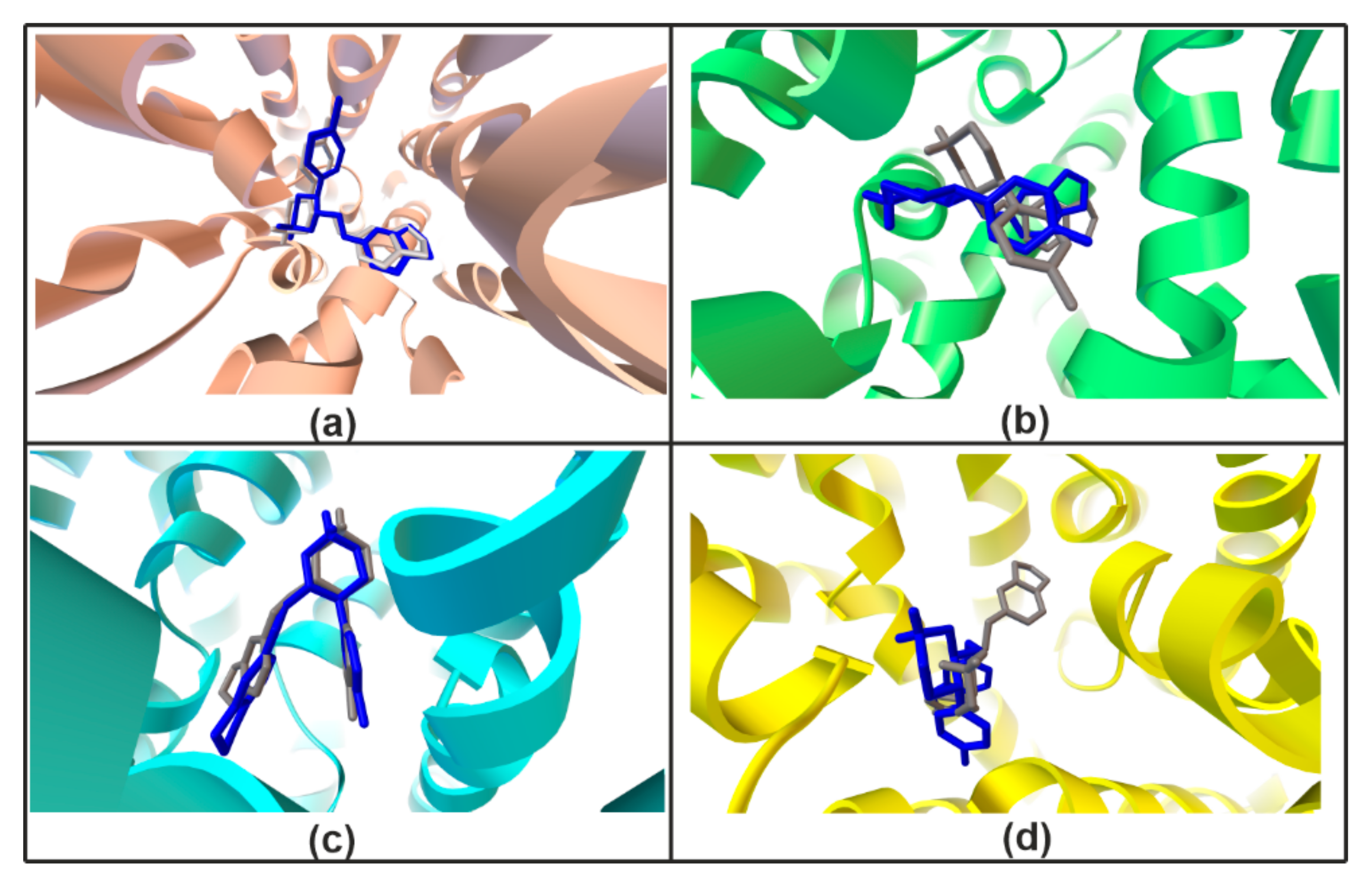 Ijms 22 06293 g006 Ijms 22 06293 g006