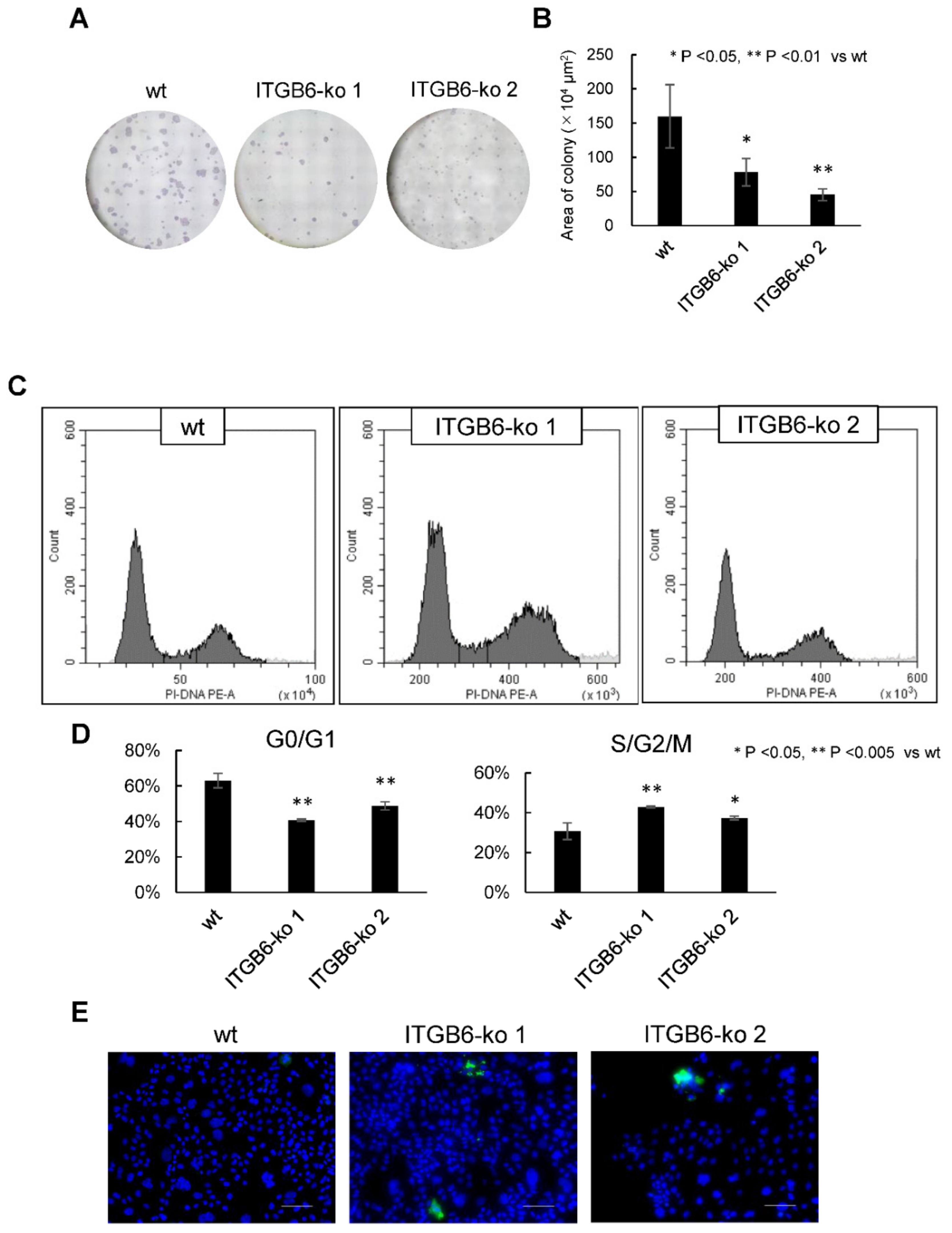 Ijms 22 06303 g003 Ijms 22 06303 g003