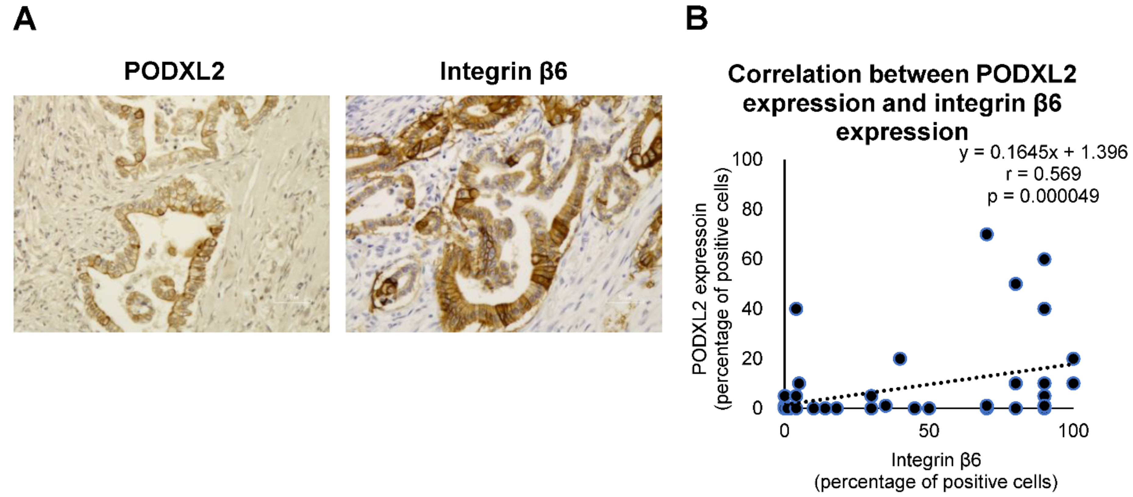 Ijms 22 06303 g007 Ijms 22 06303 g007