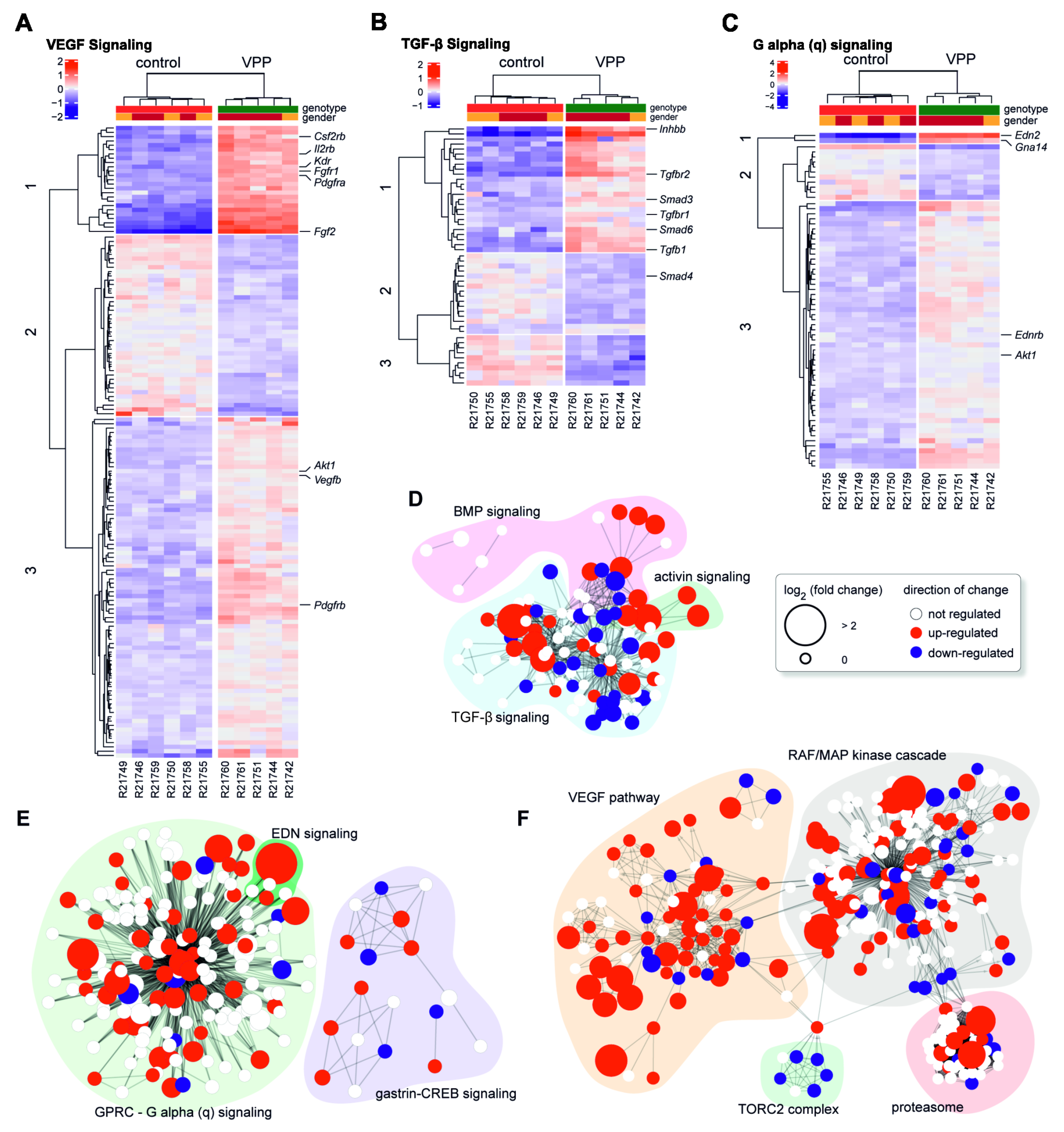 Ijms 22 06307 g002 Ijms 22 06307 g002