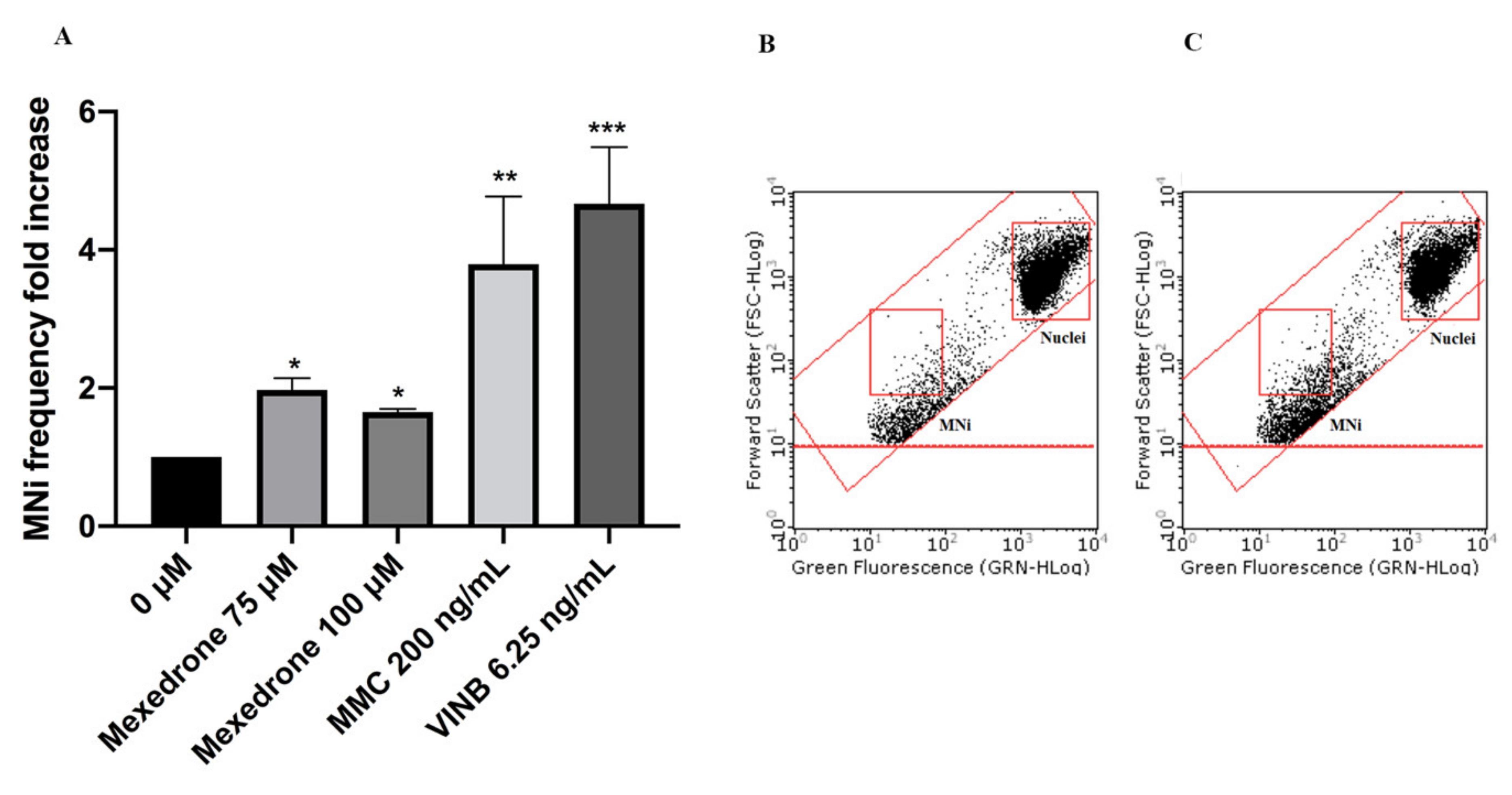 Ijms 22 06320 g003 Ijms 22 06320 g003