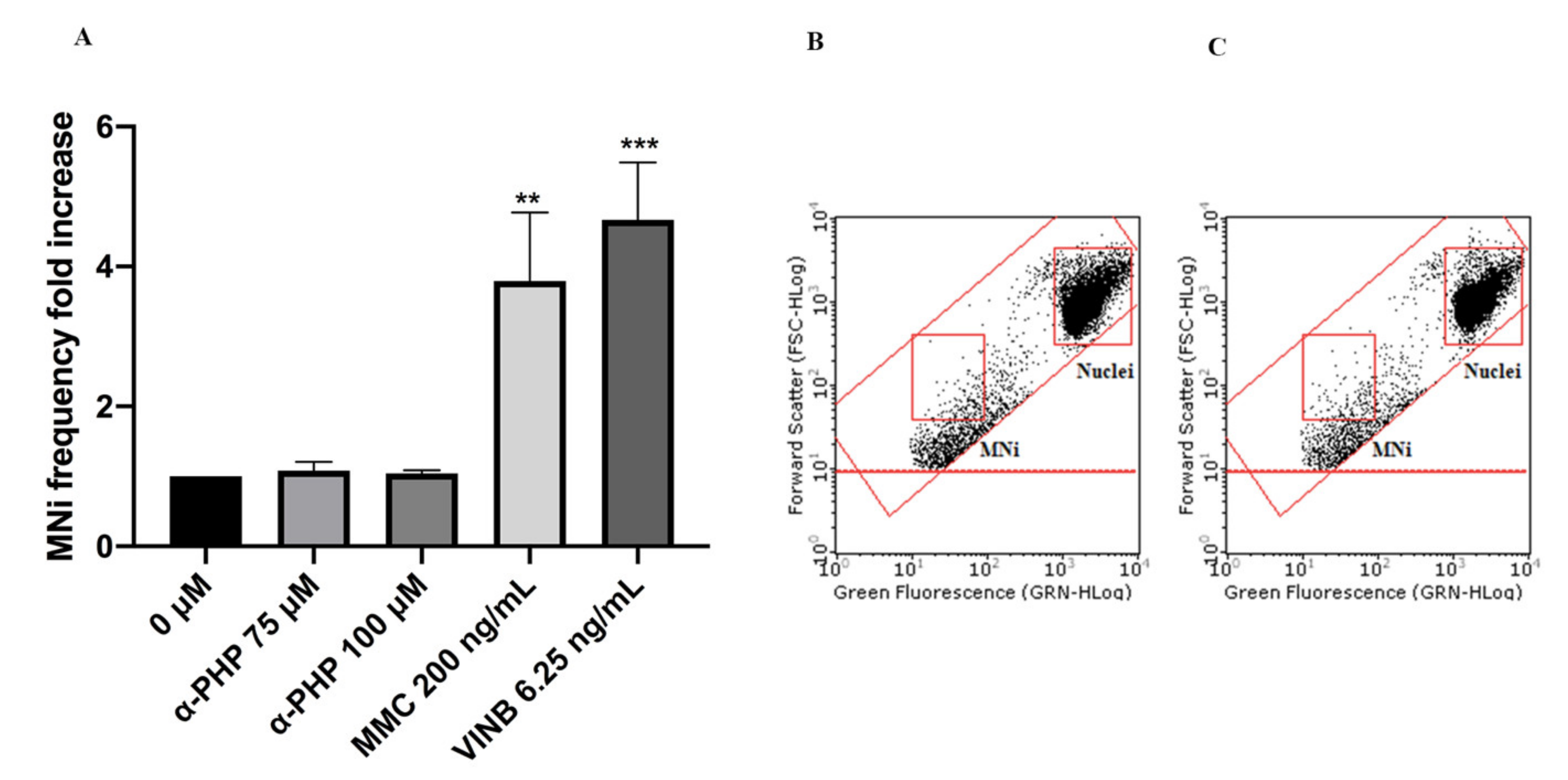 Ijms 22 06320 g005 Ijms 22 06320 g005