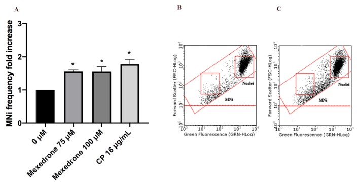 Ijms 22 06320 g006 Ijms 22 06320 g006
