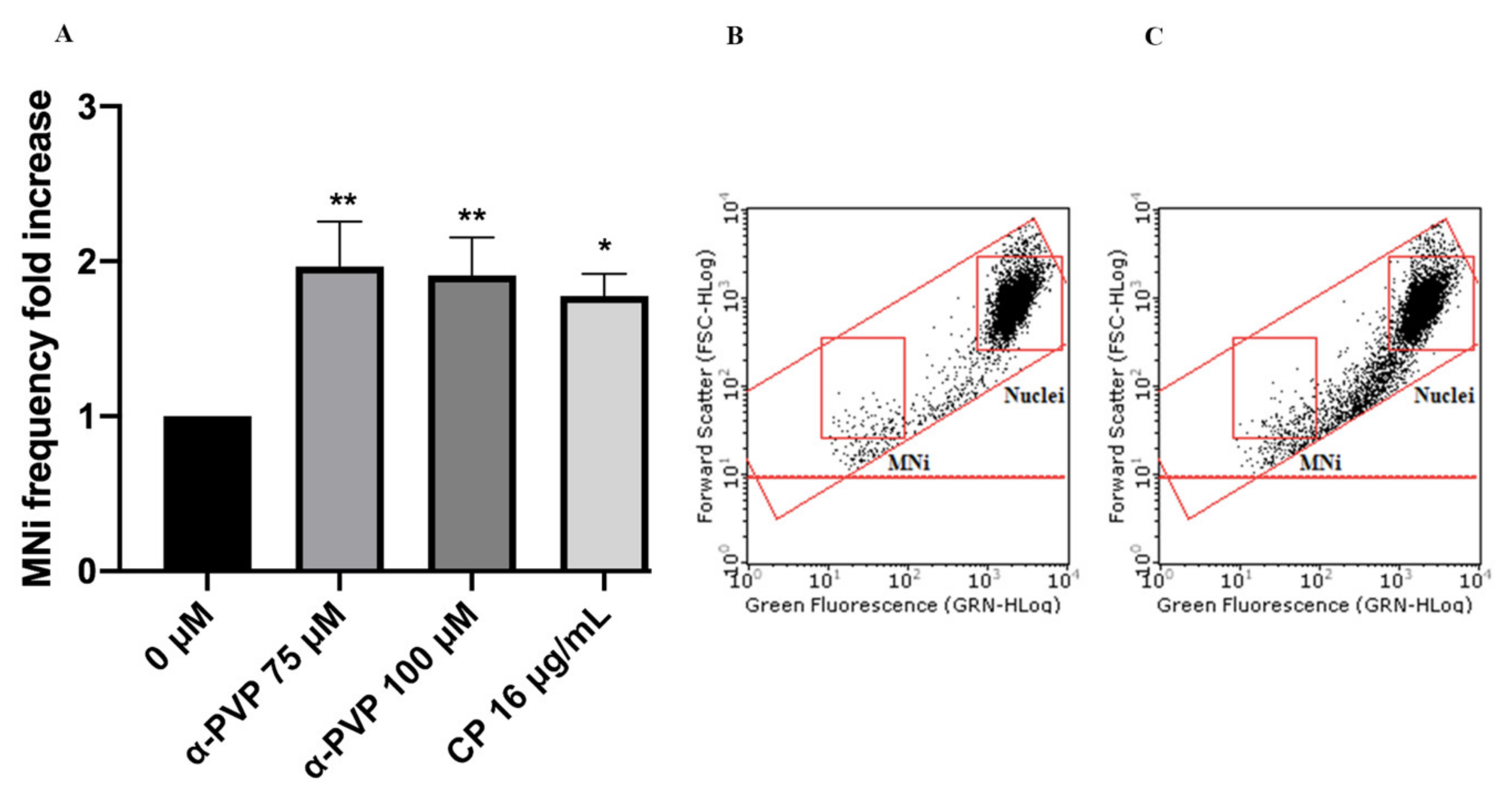 Ijms 22 06320 g007 Ijms 22 06320 g007
