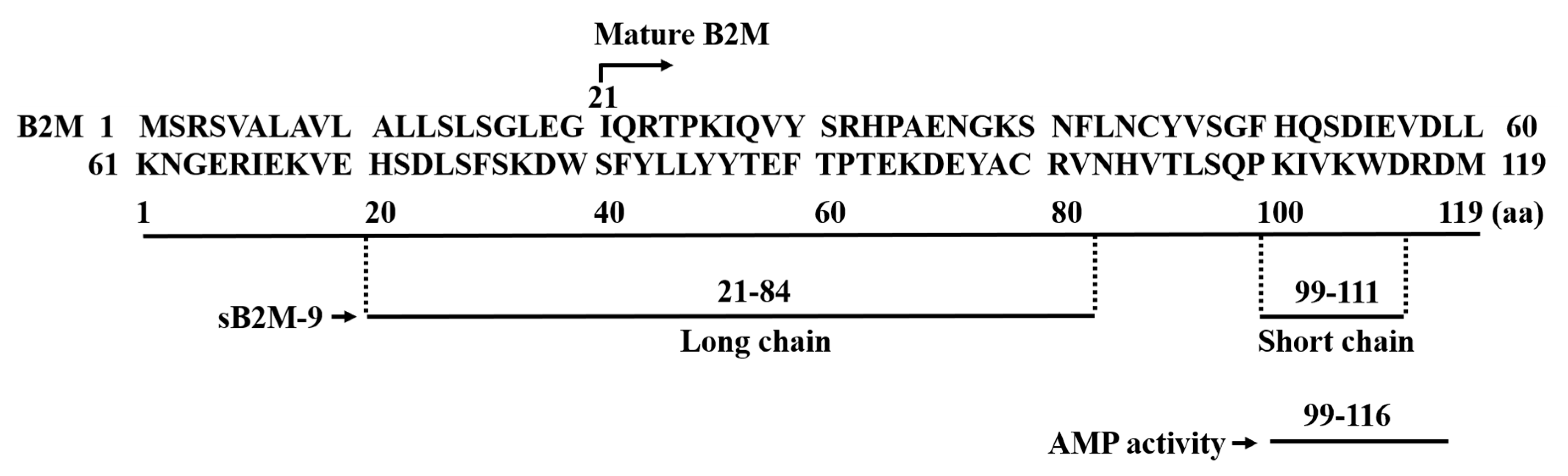 Ijms 22 06330 g001