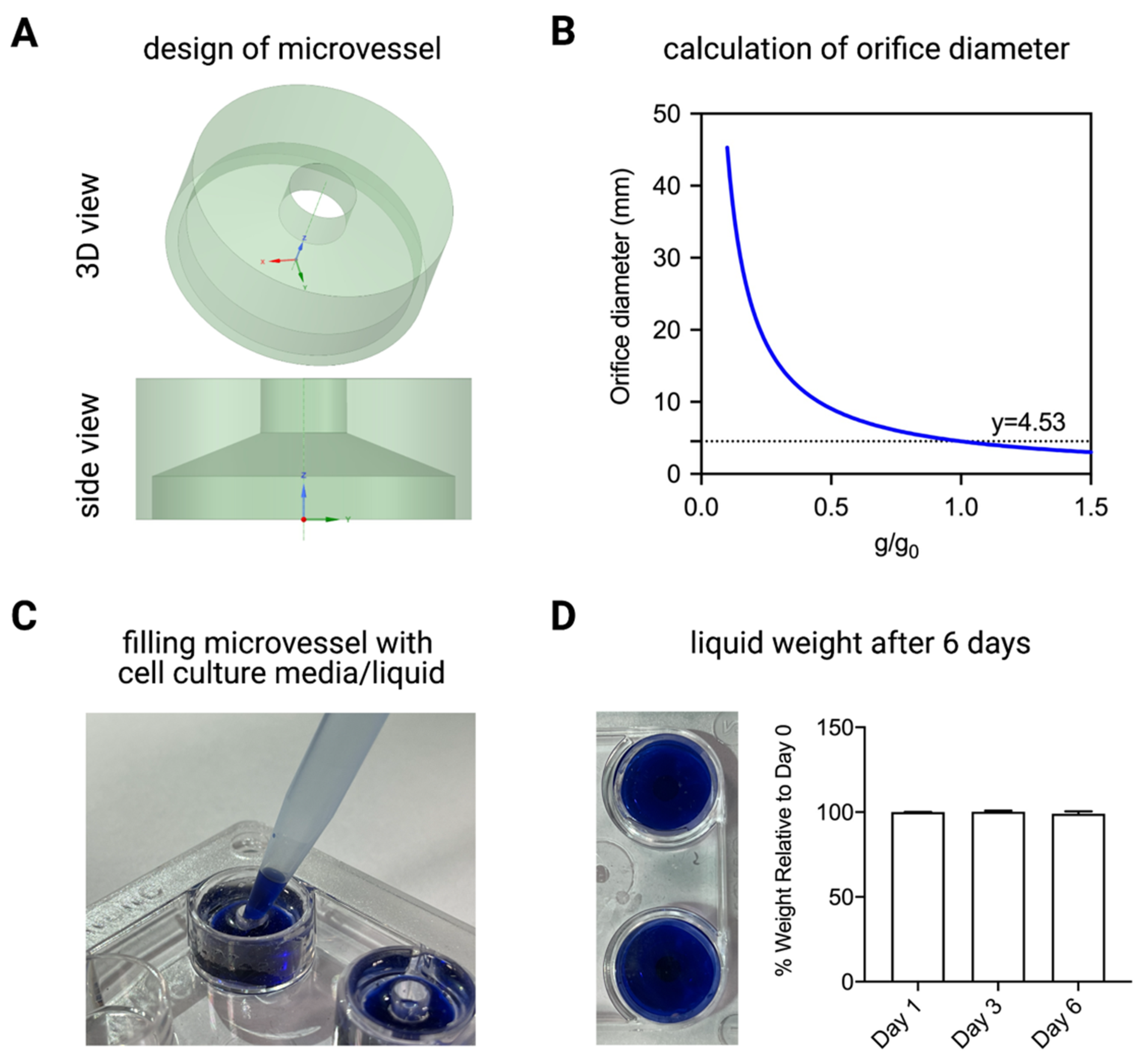 Ijms 22 06331 g004 Ijms 22 06331 g004
