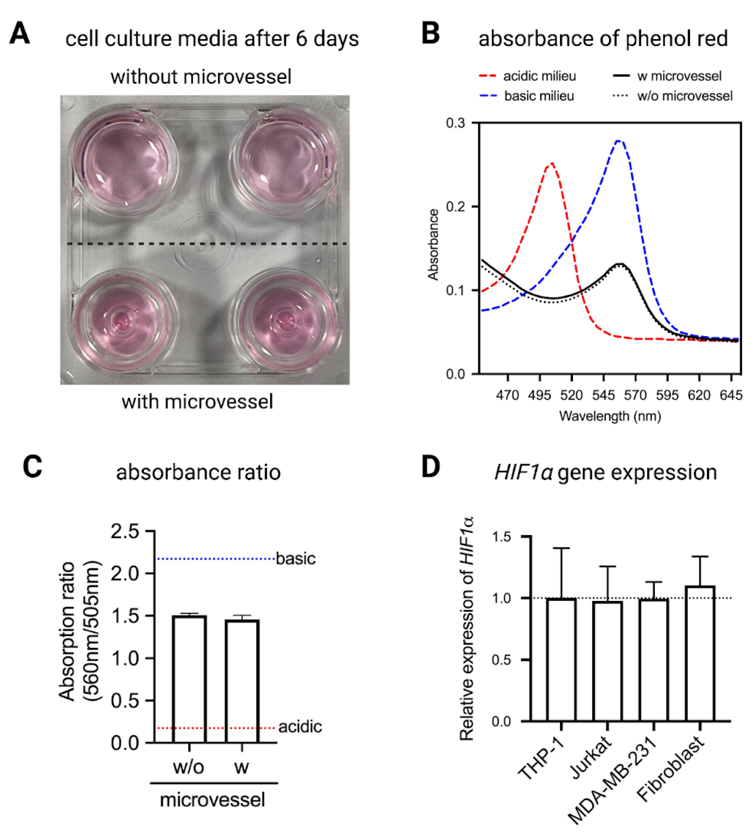 Ijms 22 06331 g005 Ijms 22 06331 g005
