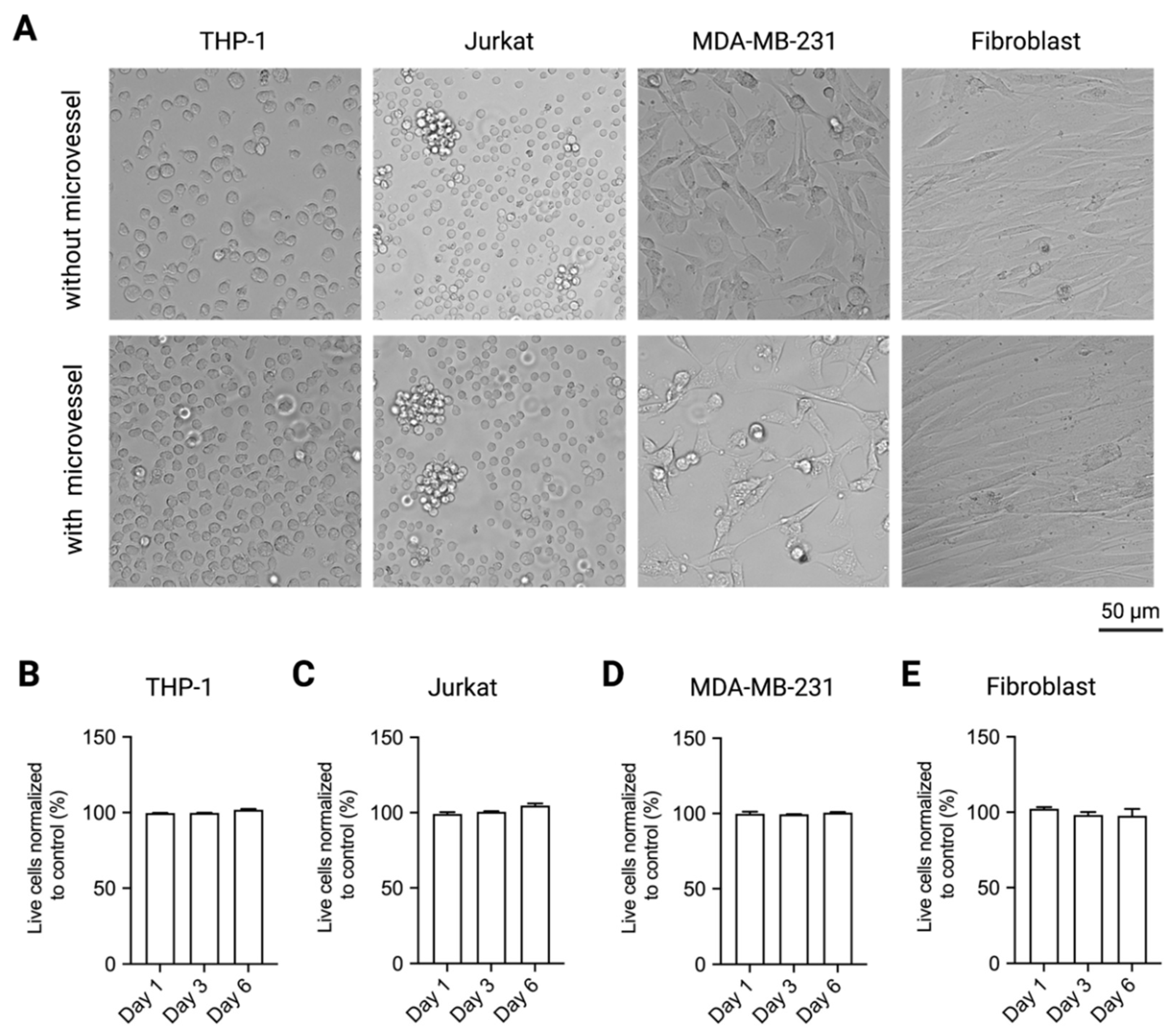 Ijms 22 06331 g006 Ijms 22 06331 g006