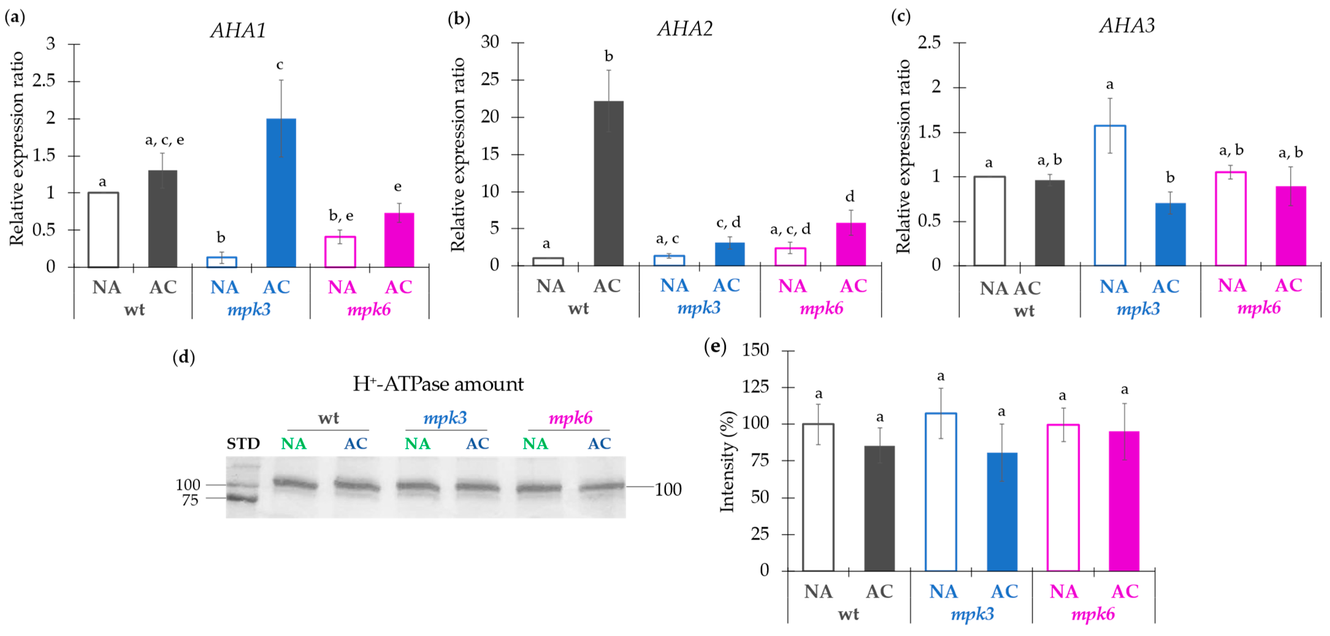 Ijms 22 06338 g003 Ijms 22 06338 g003