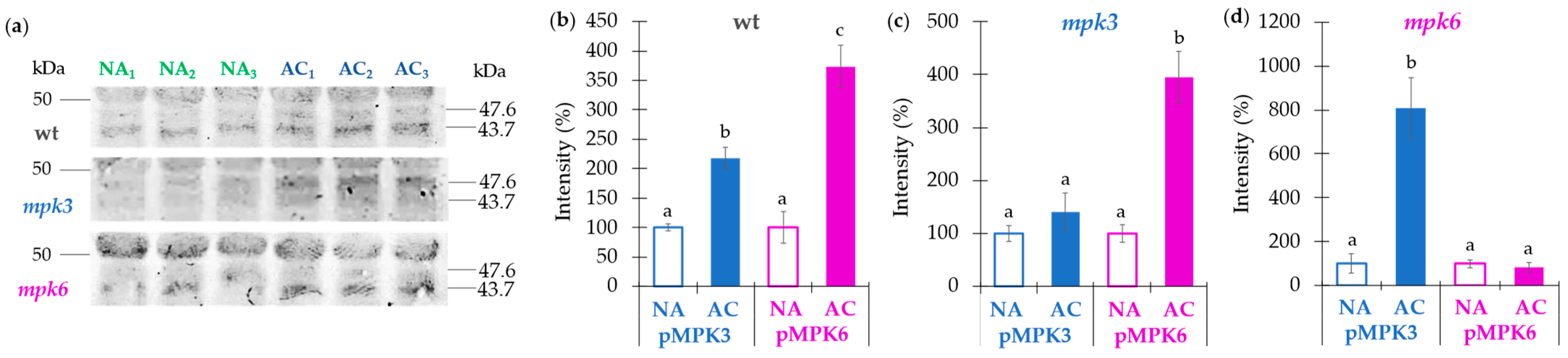 Ijms 22 06338 g006 Ijms 22 06338 g006