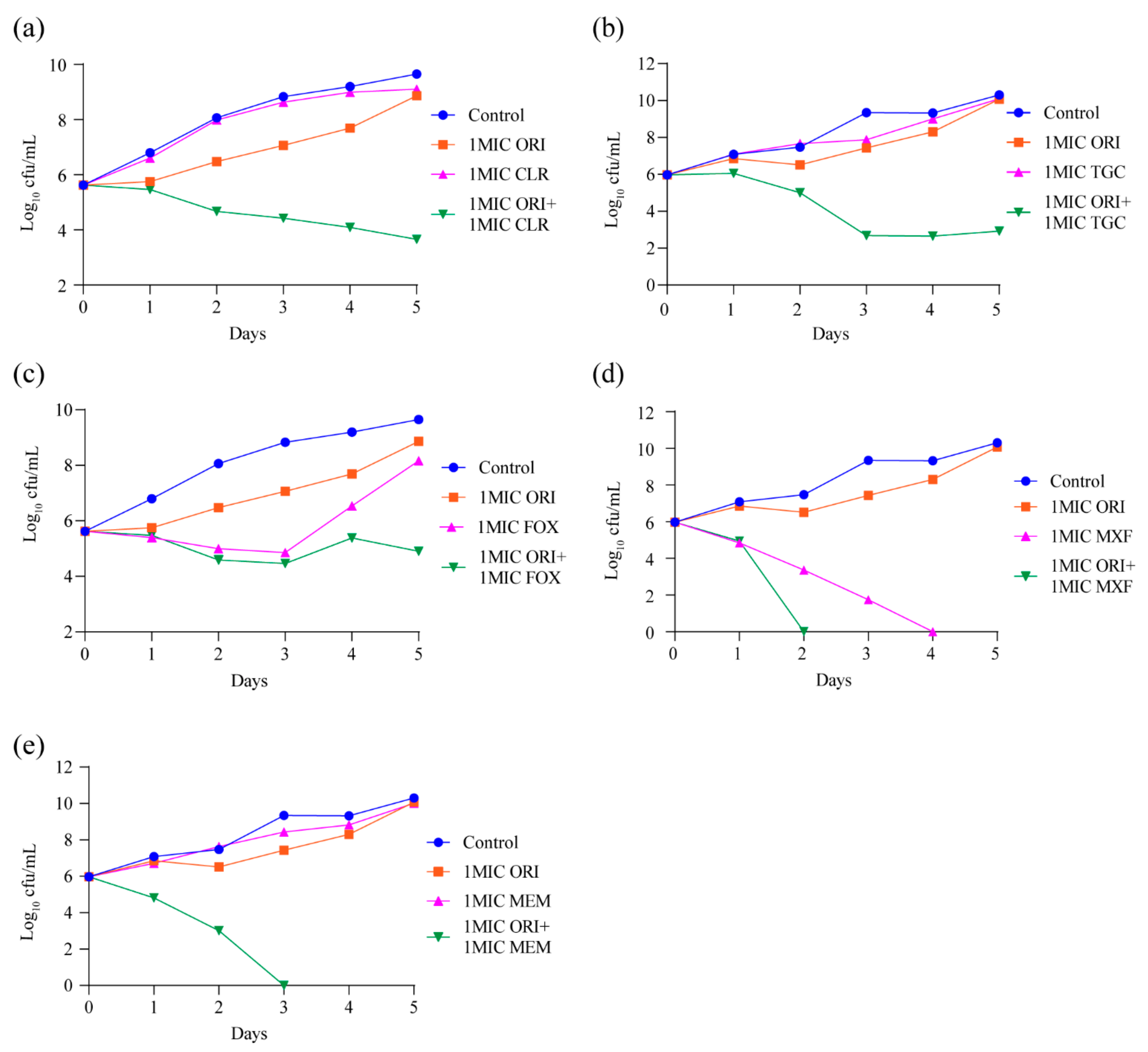Ijms 22 06346 g004 Ijms 22 06346 g004