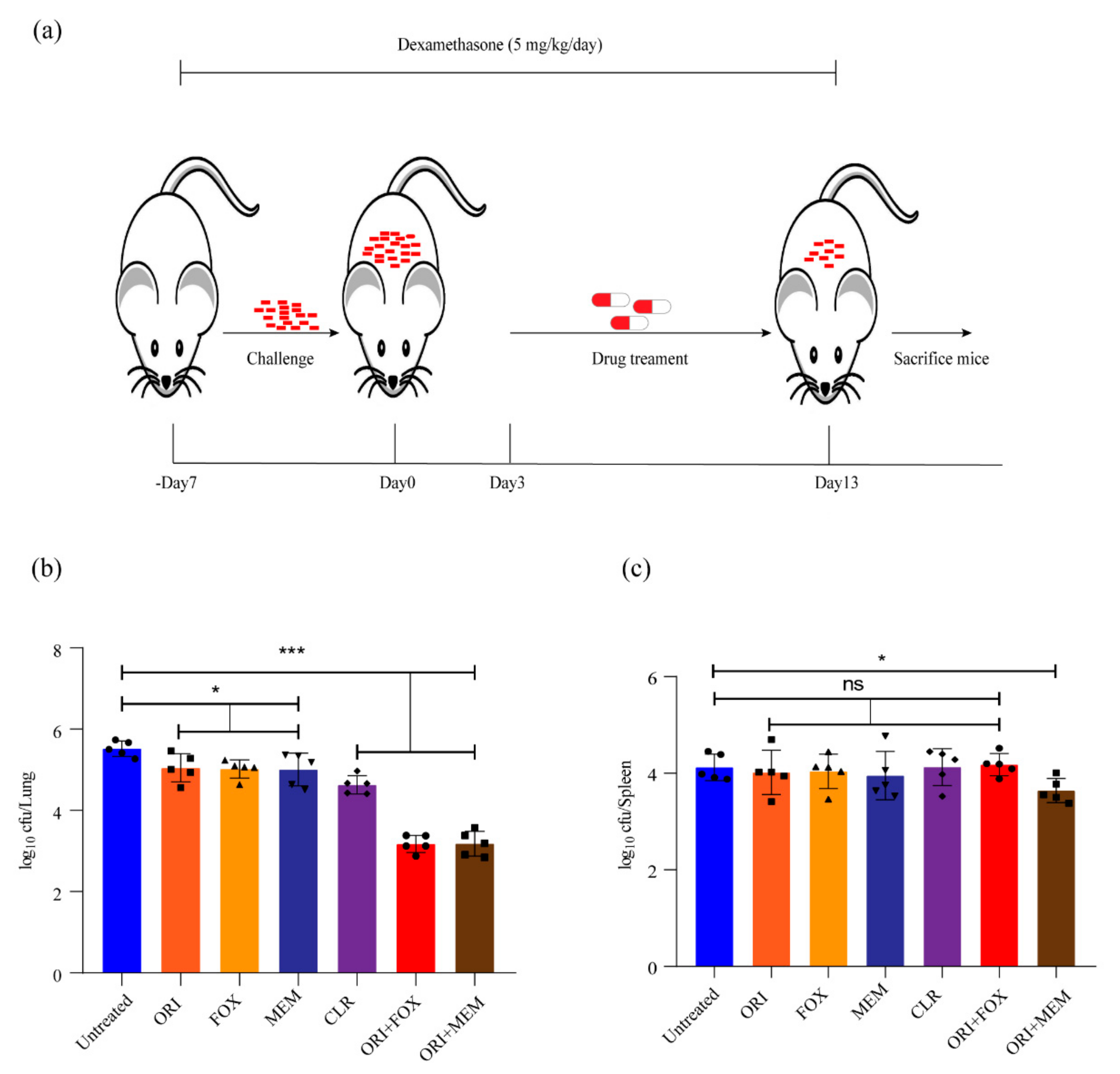 Ijms 22 06346 g005 Ijms 22 06346 g005