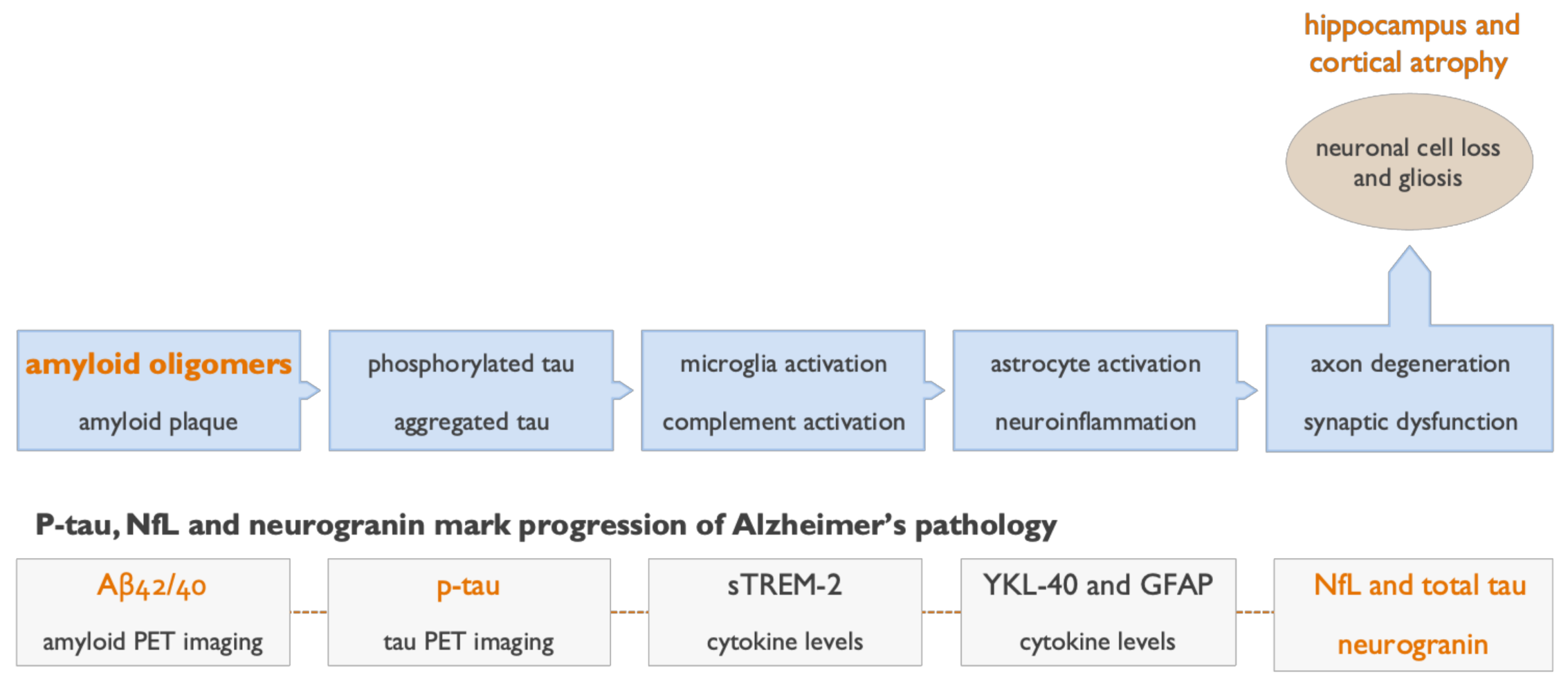 Ijms 22 06355 g003 Ijms 22 06355 g003
