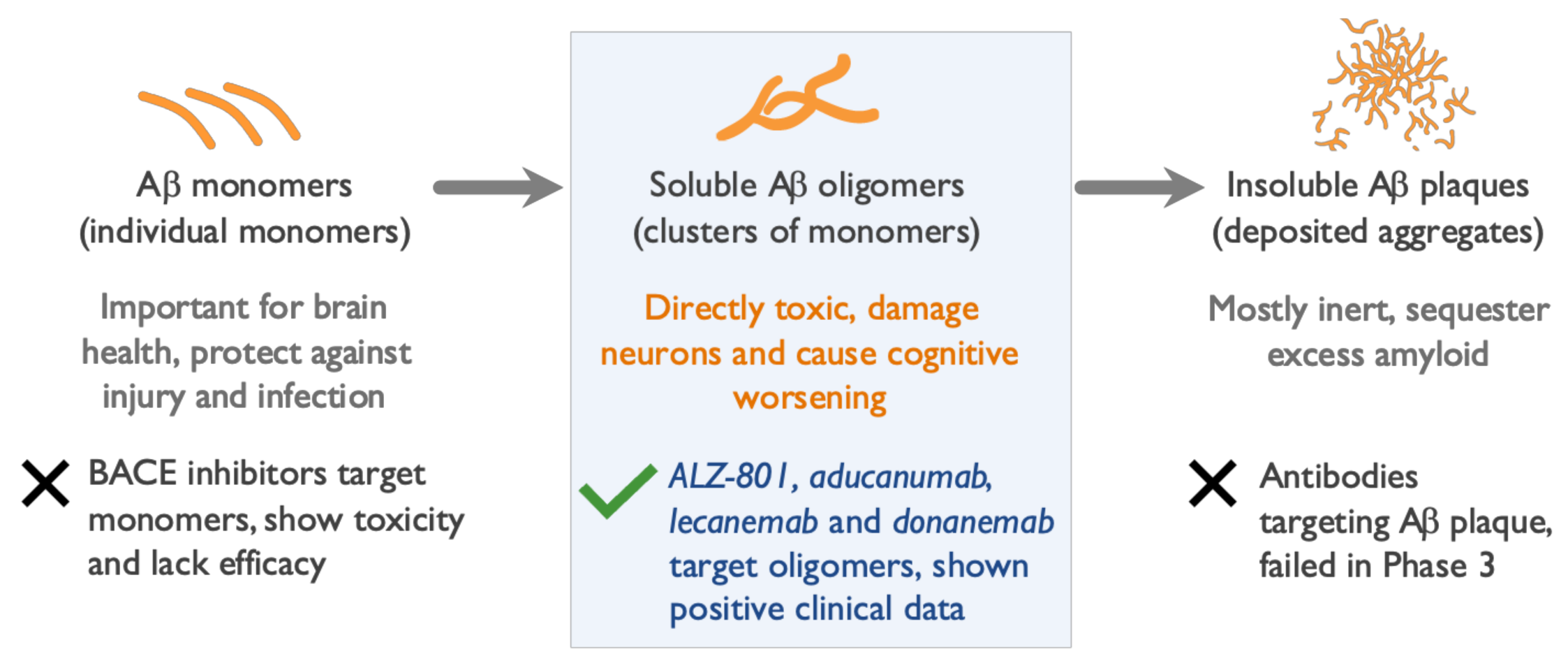 Ijms 22 06355 g005 Ijms 22 06355 g005