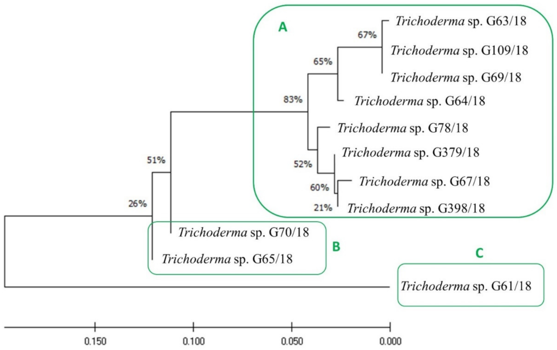 Ijms 22 06356 g003 Ijms 22 06356 g003