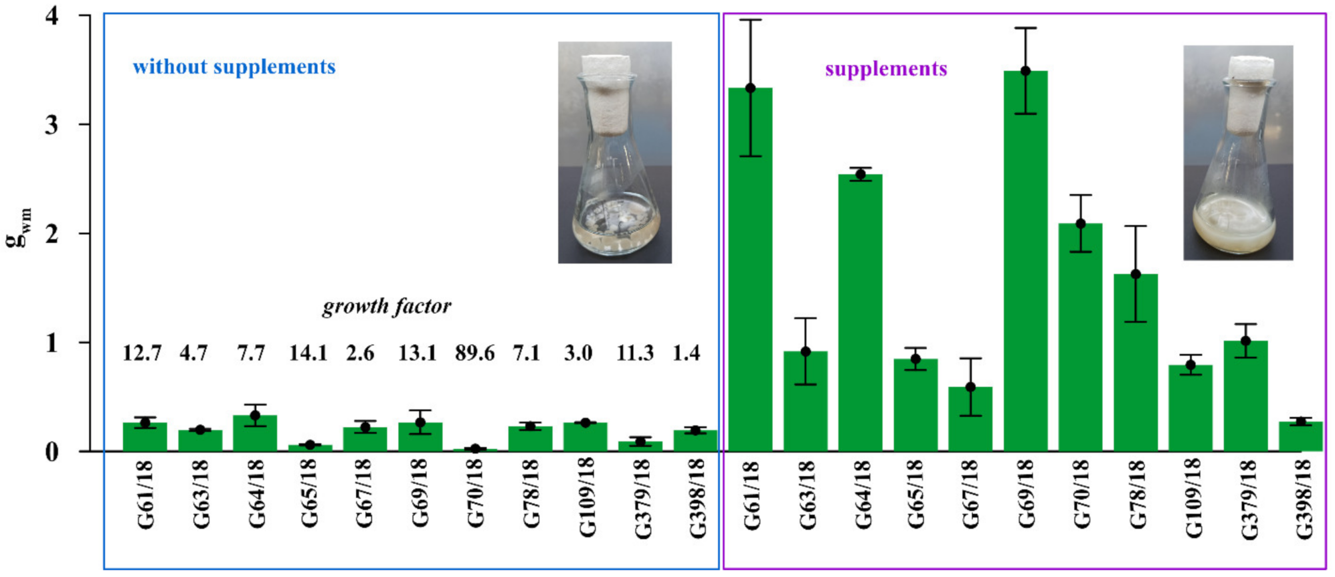 Ijms 22 06356 g004 Ijms 22 06356 g004