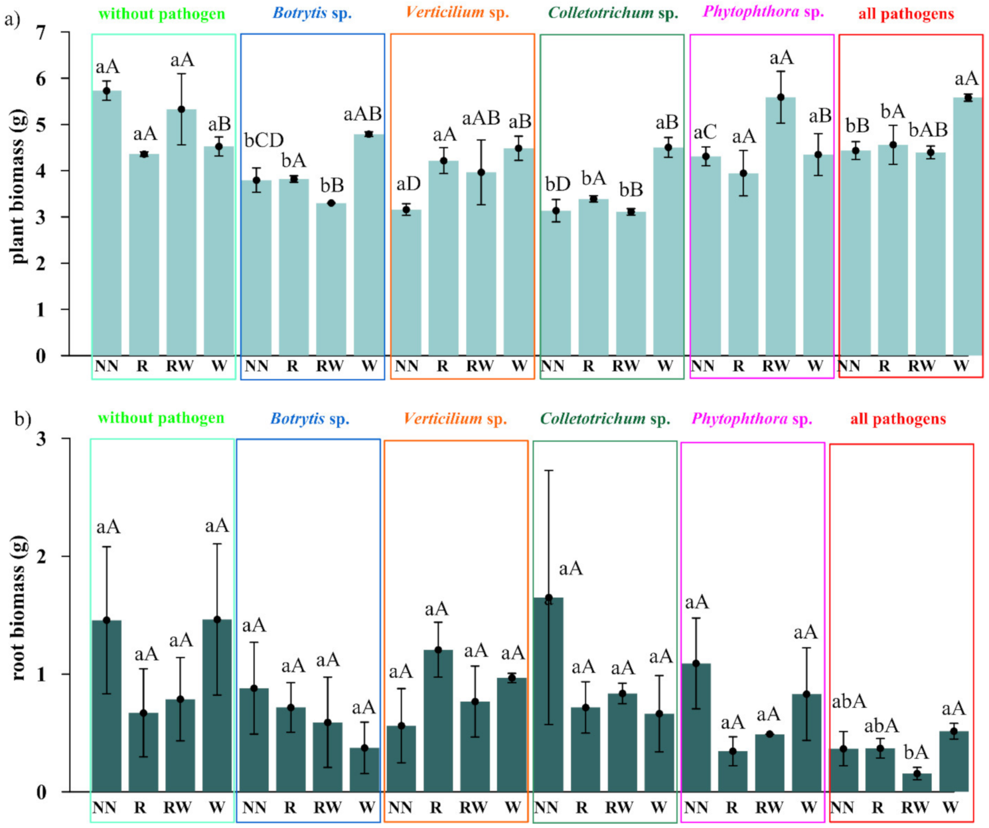 Ijms 22 06356 g005 Ijms 22 06356 g005