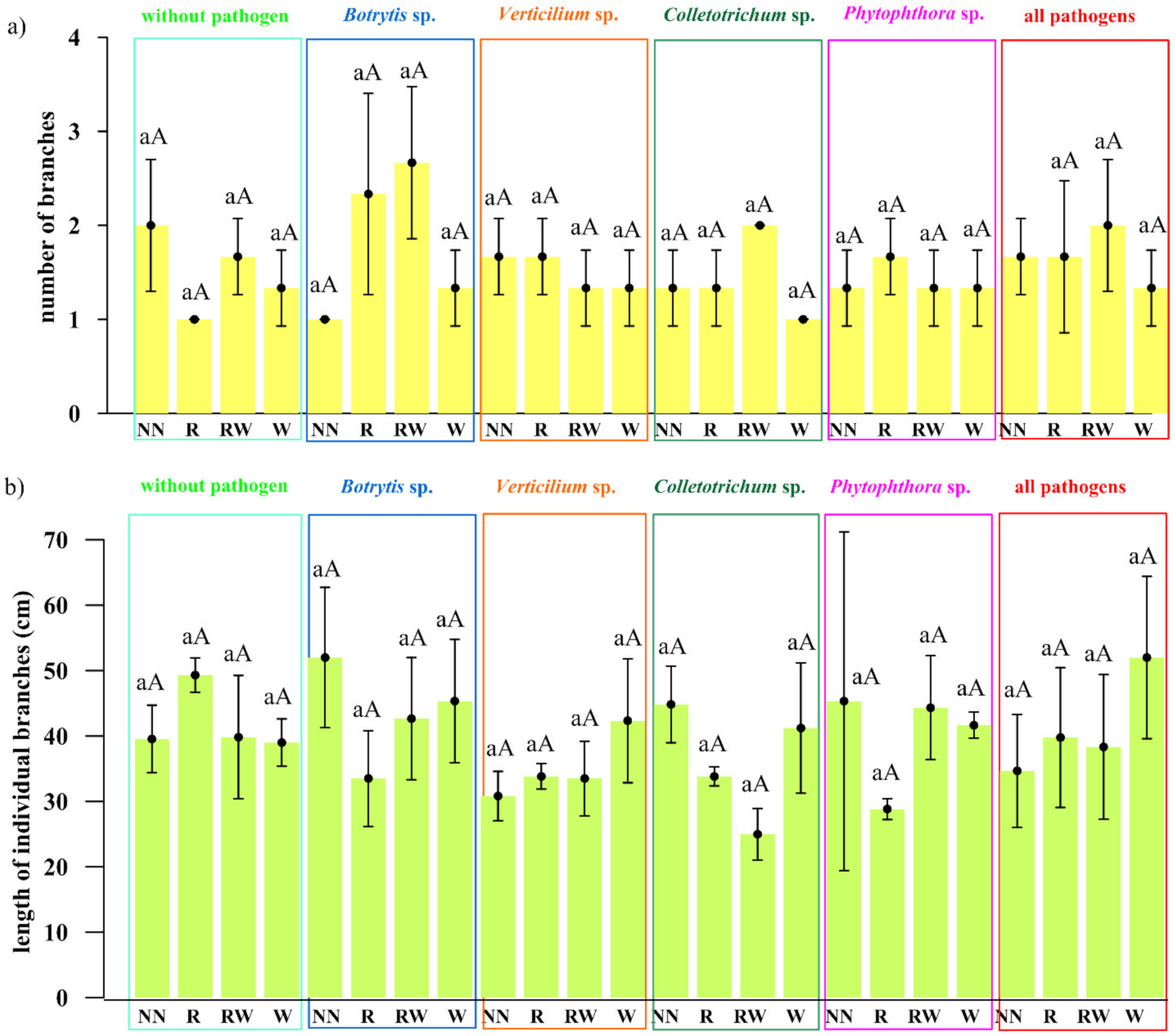 Ijms 22 06356 g006 Ijms 22 06356 g006