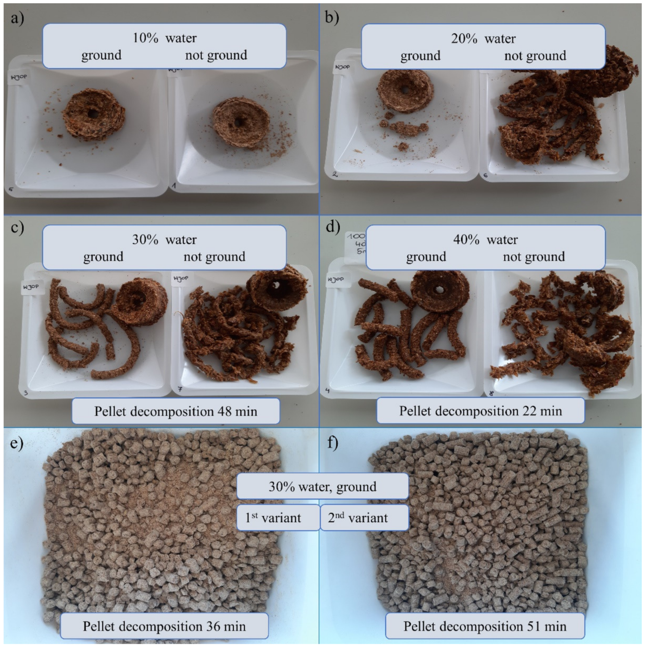 Ijms 22 06356 g007 Ijms 22 06356 g007