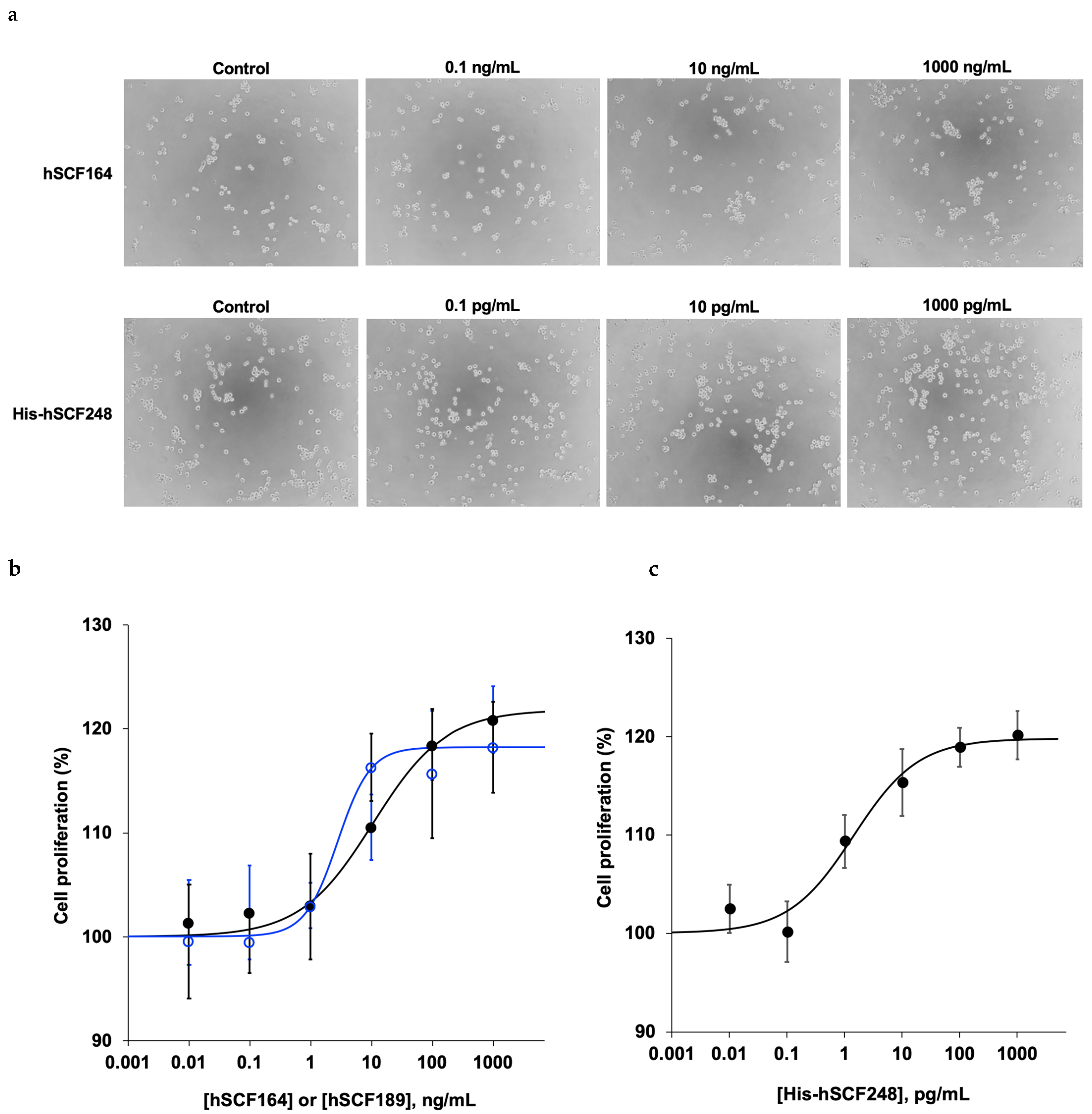 Ijms 22 06361 g005 Ijms 22 06361 g005