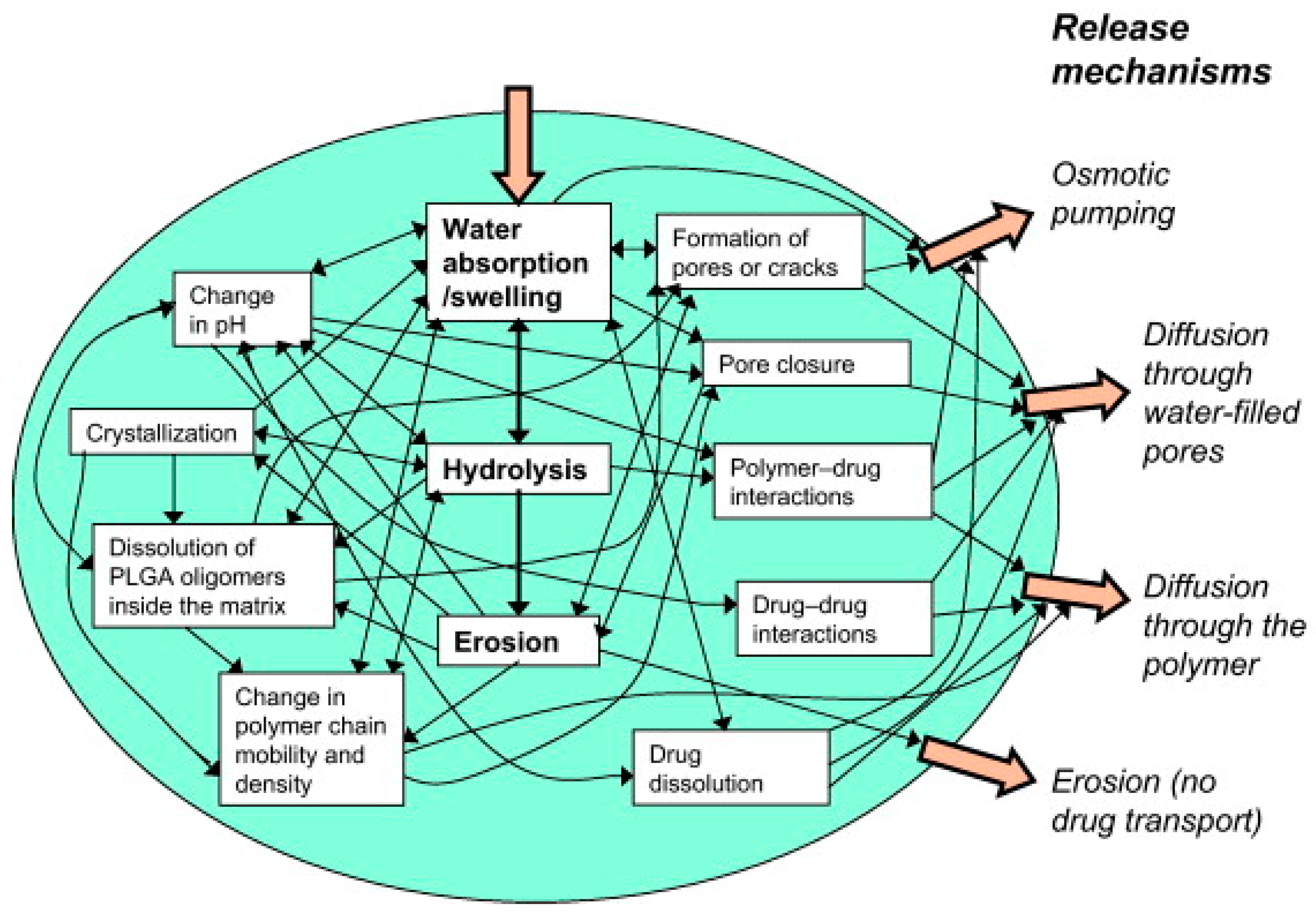 Ijms 22 06387 g006 Ijms 22 06387 g006