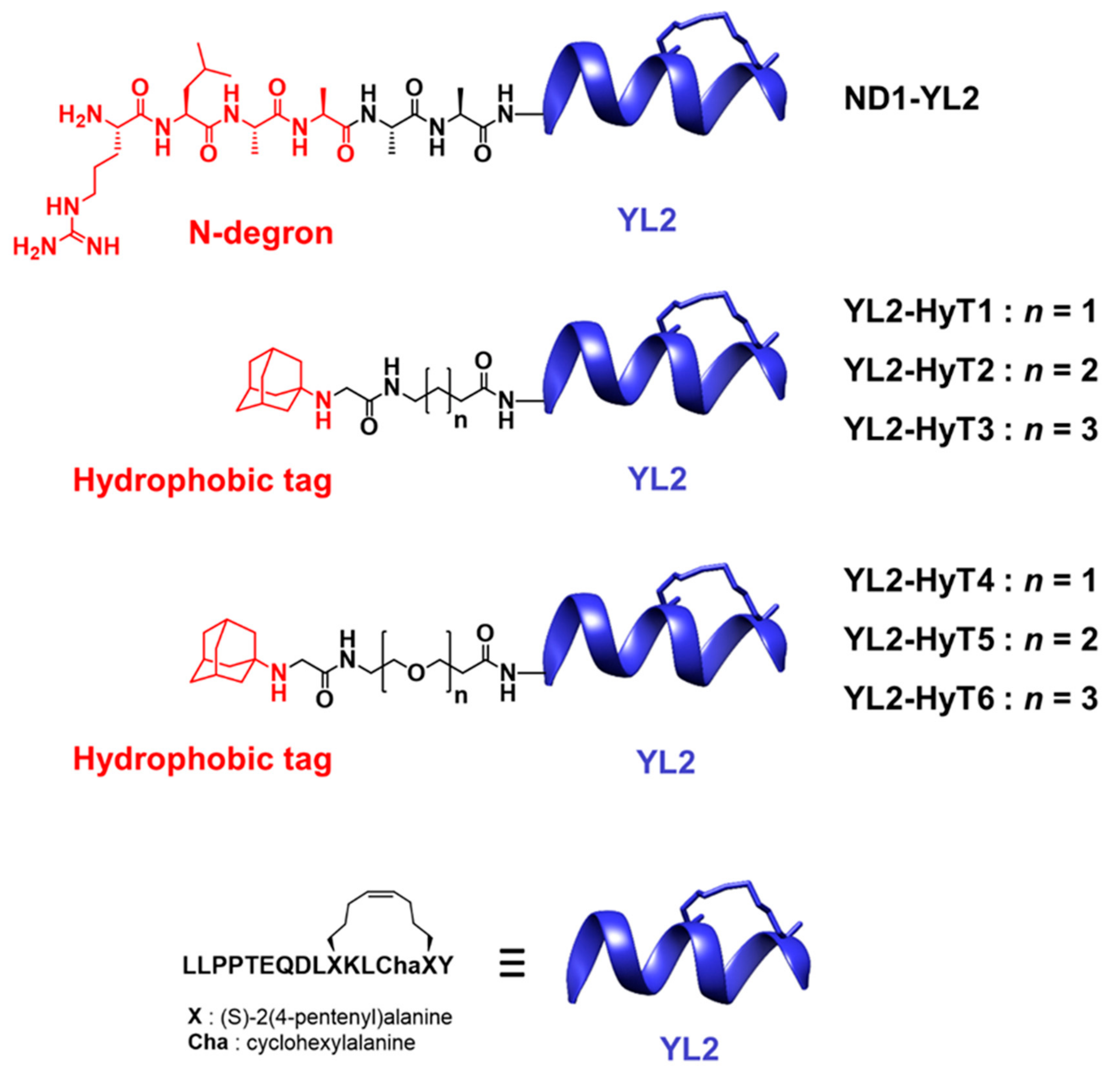Ijms 22 06407 g002 Ijms 22 06407 g002