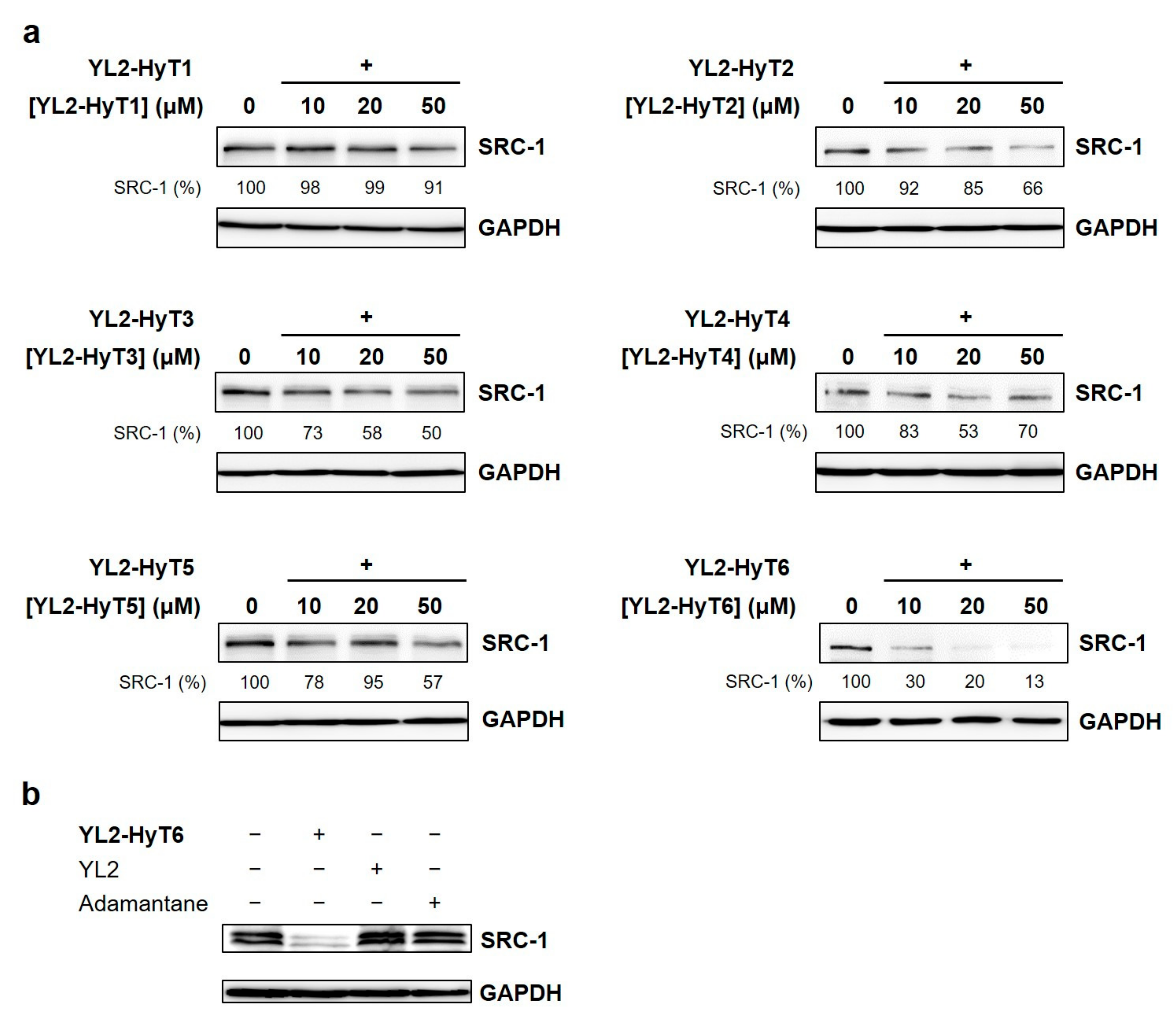 Ijms 22 06407 g004 Ijms 22 06407 g004