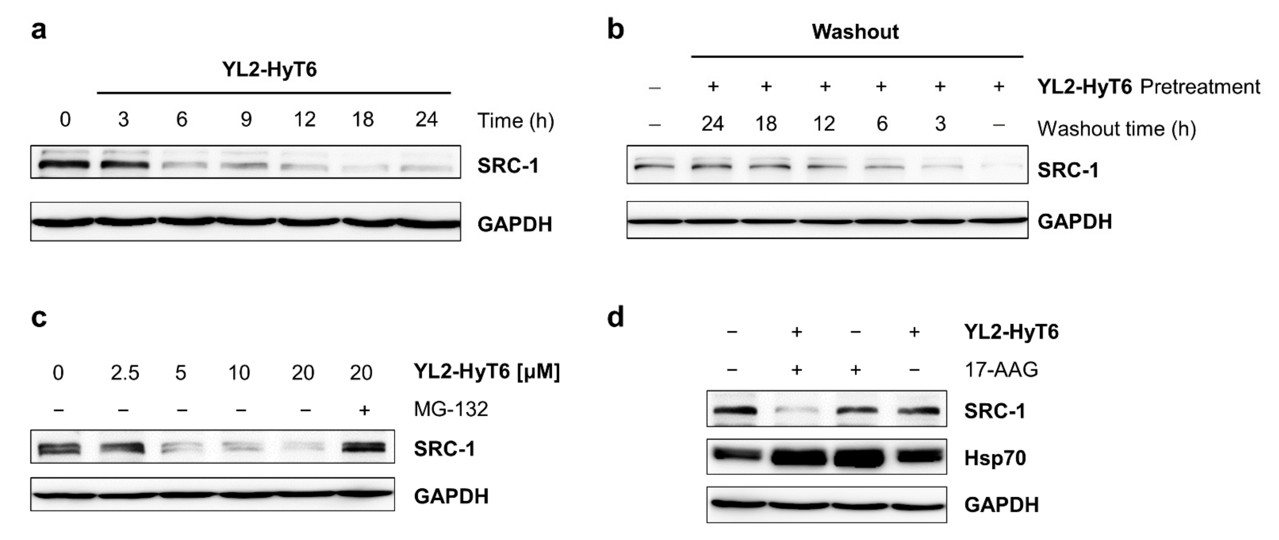 Ijms 22 06407 g006 Ijms 22 06407 g006