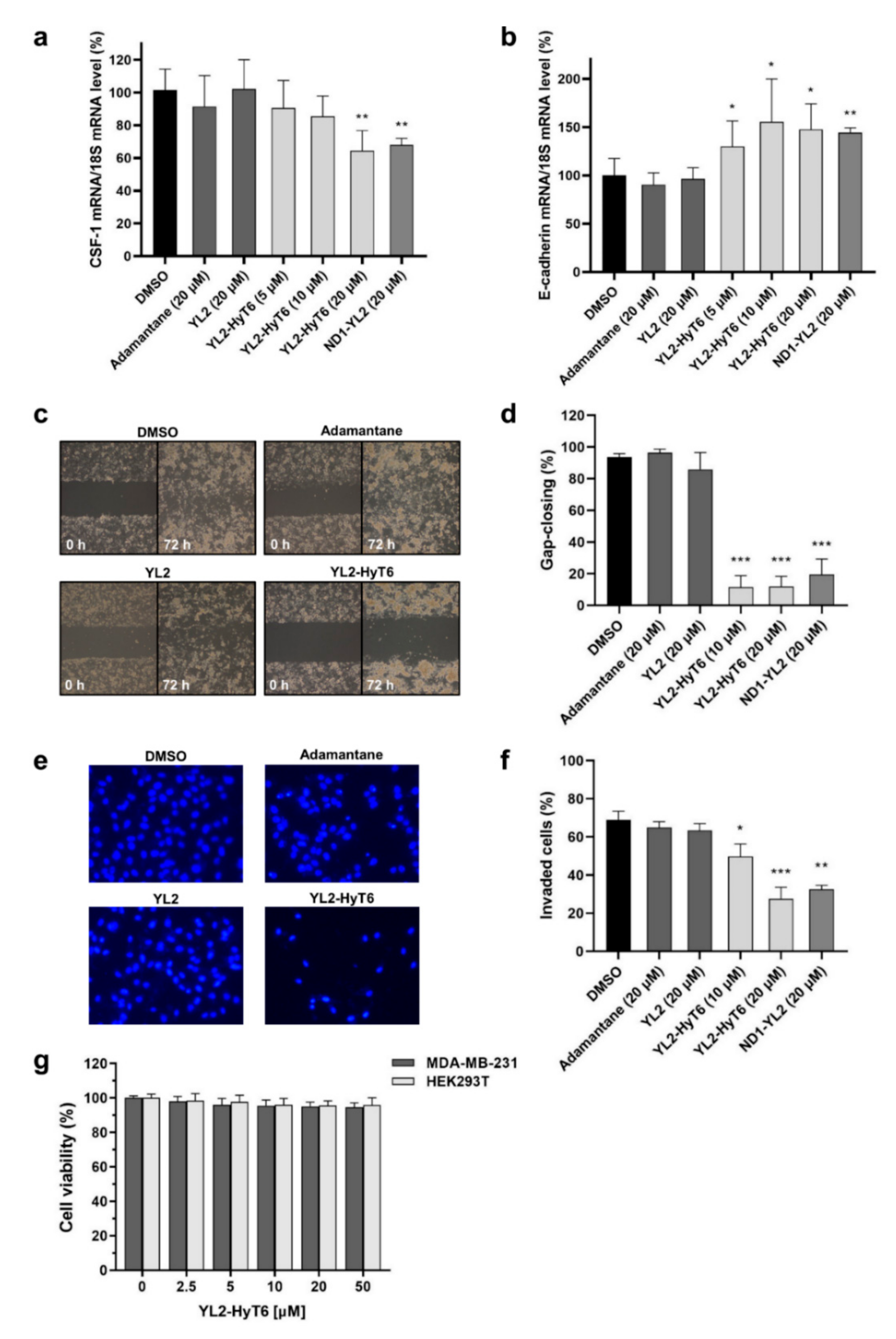 Ijms 22 06407 g007 Ijms 22 06407 g007