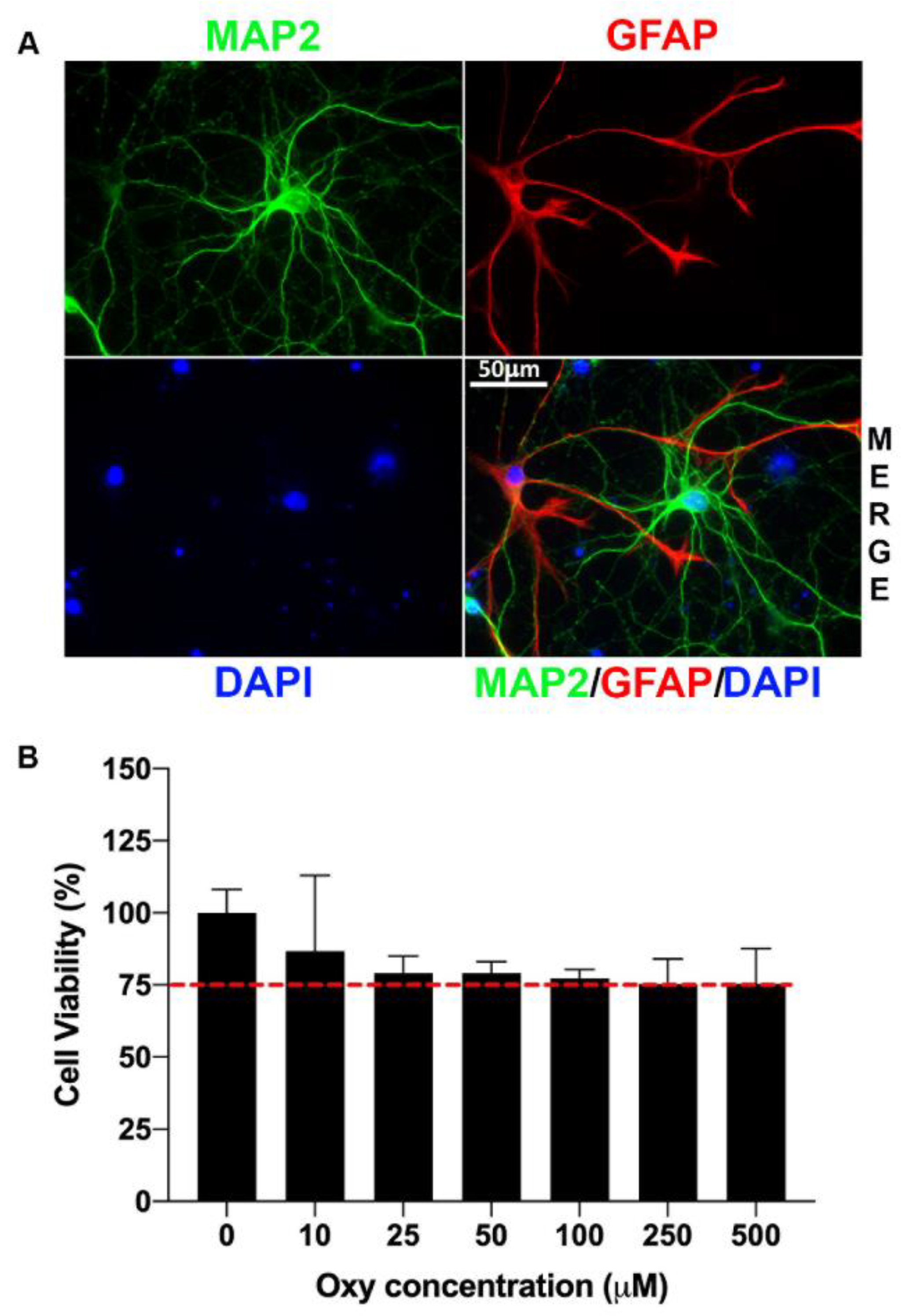Ijms 22 06421 g001 Ijms 22 06421 g001