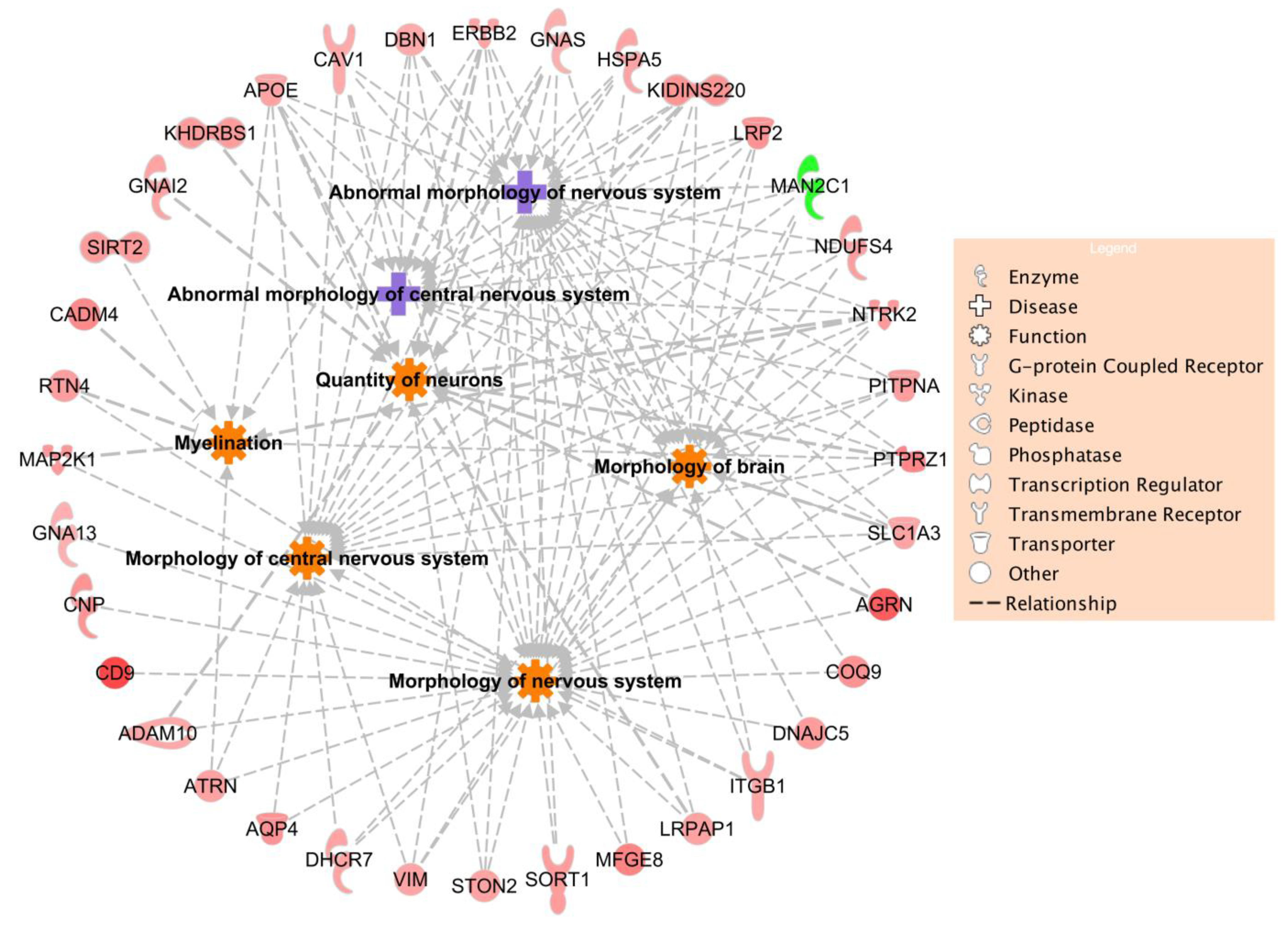 Ijms 22 06421 g004 Ijms 22 06421 g004