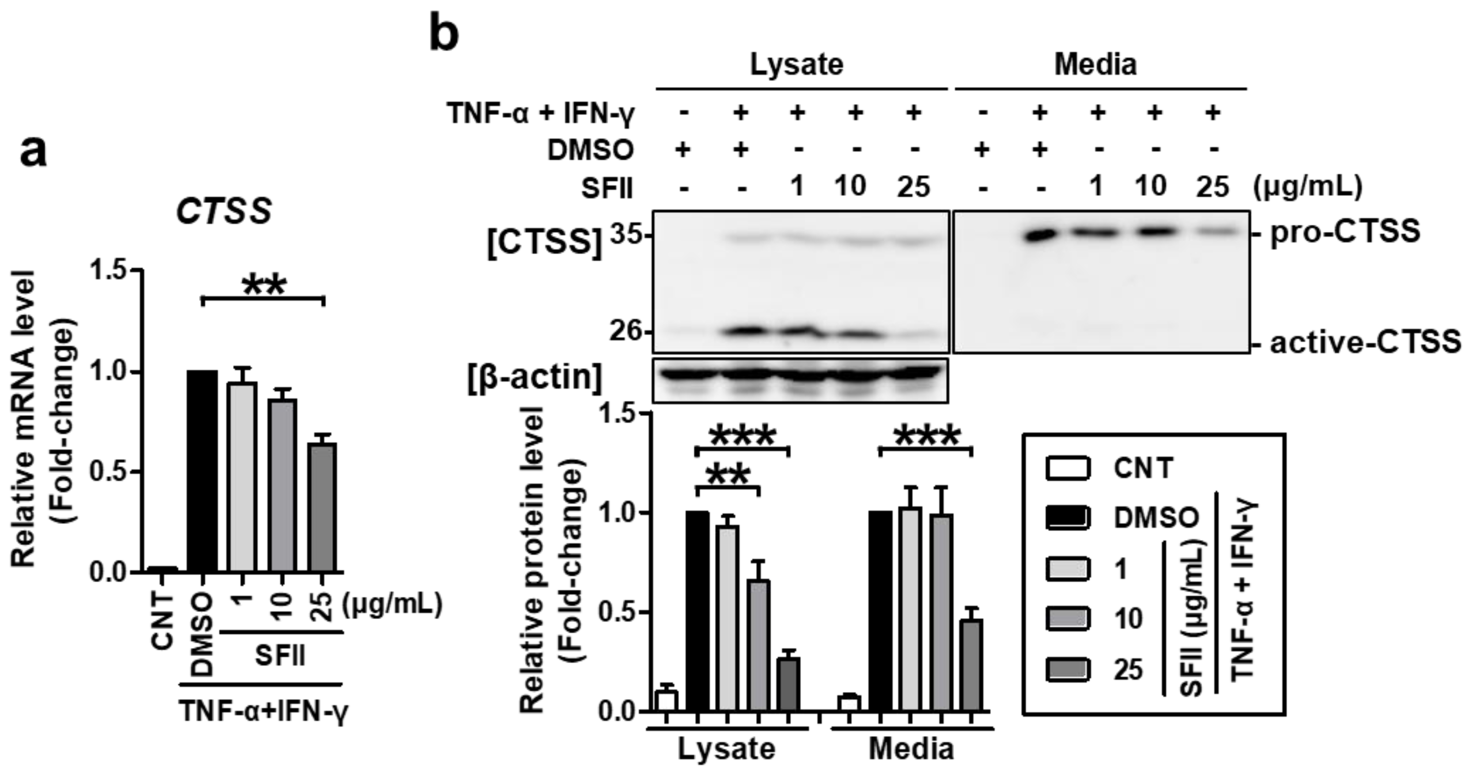 Ijms 22 06428 g002 Ijms 22 06428 g002