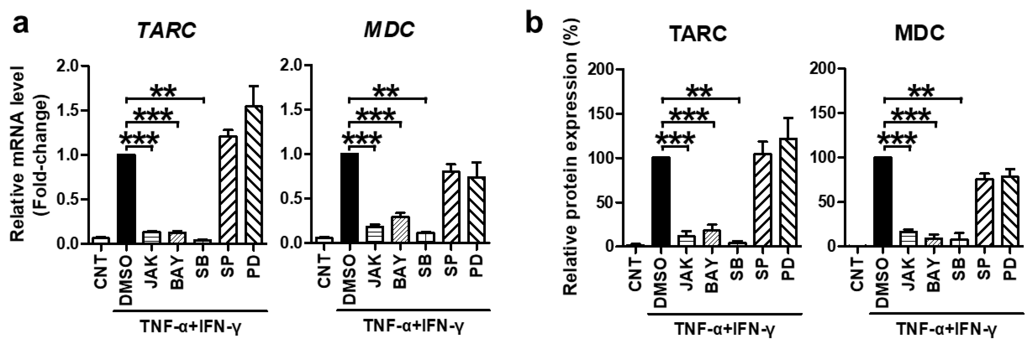 Ijms 22 06428 g003 Ijms 22 06428 g003