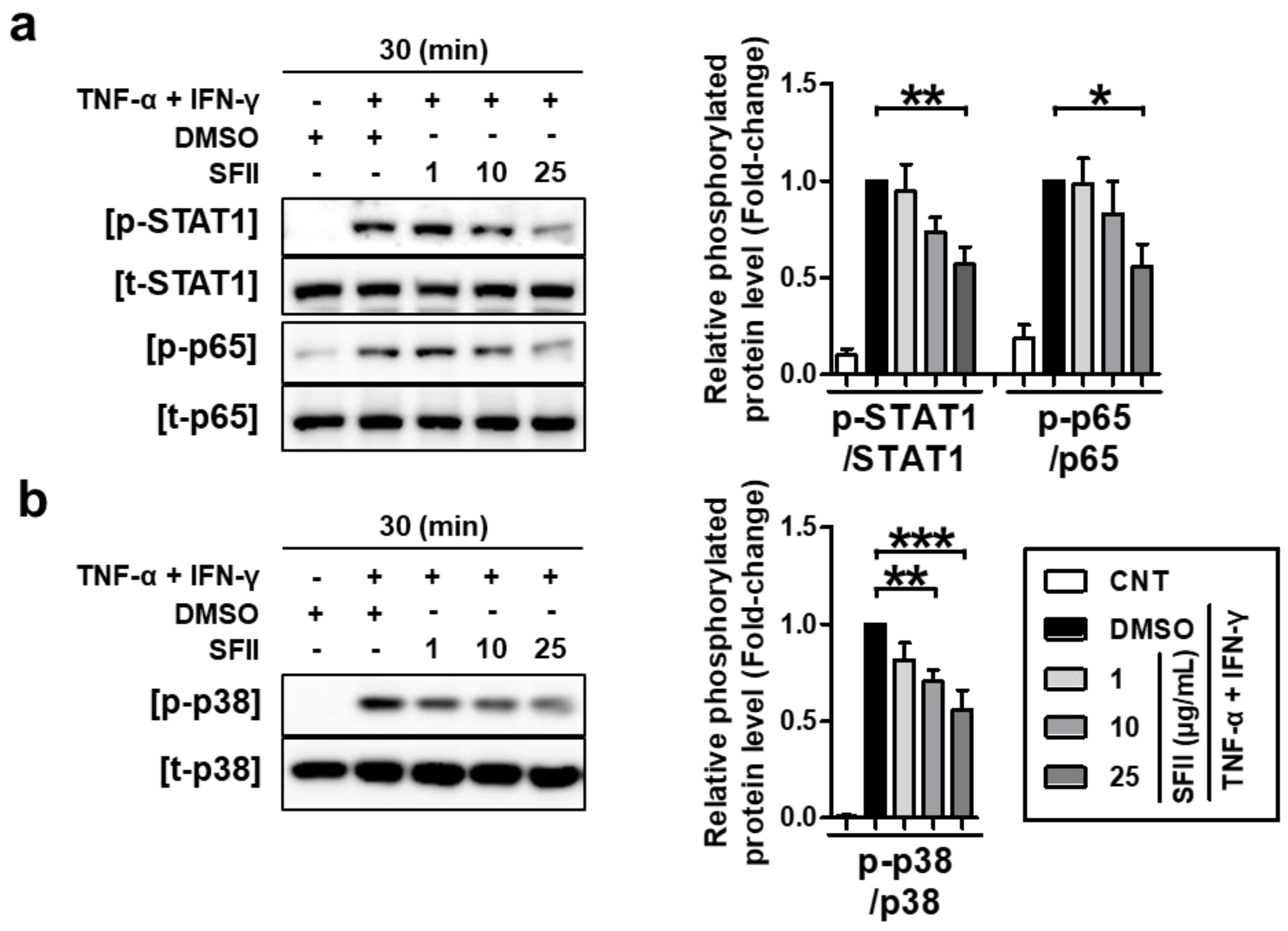 Ijms 22 06428 g005 Ijms 22 06428 g005