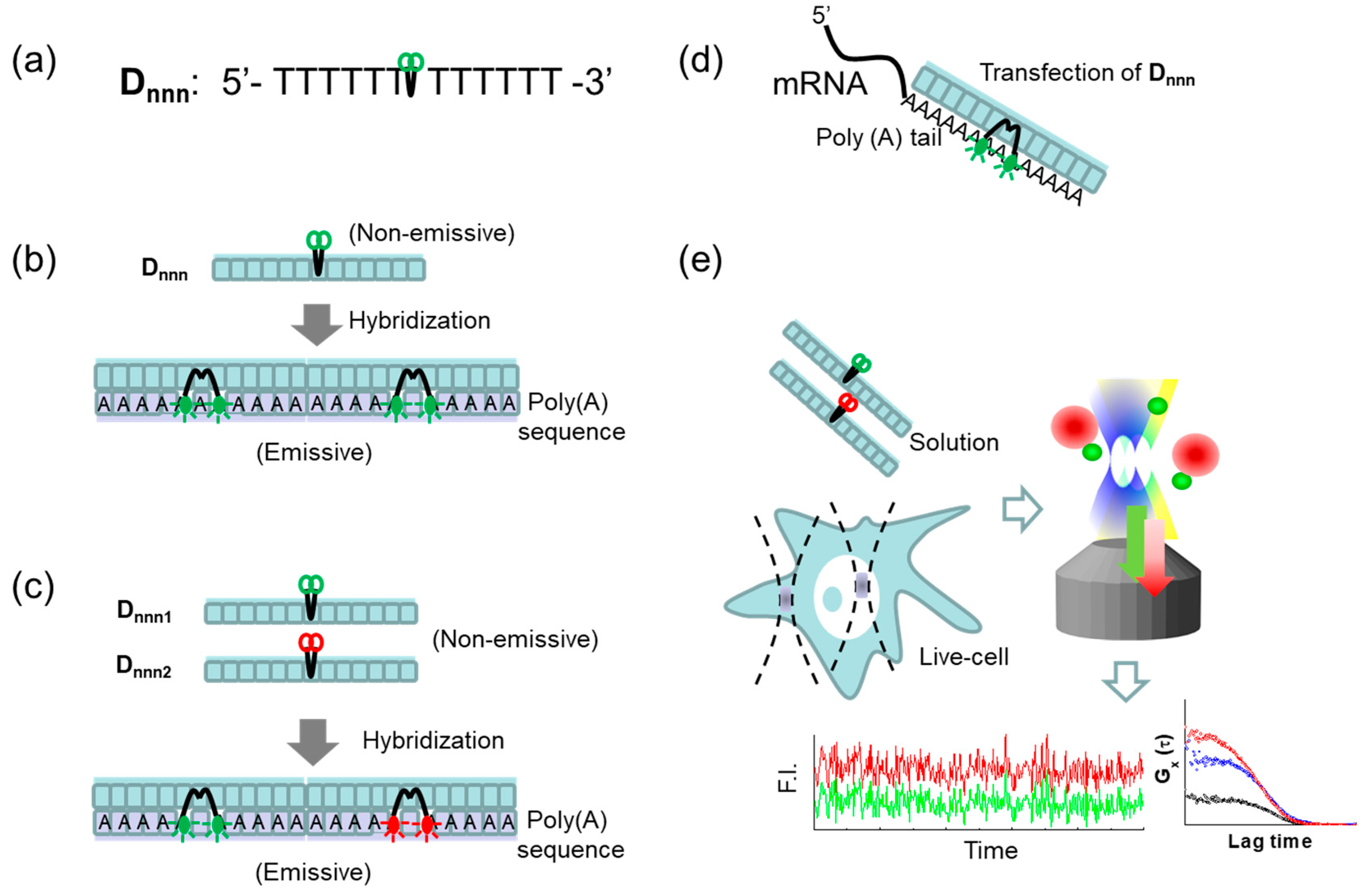 Ijms 22 06433 g001 Ijms 22 06433 g001