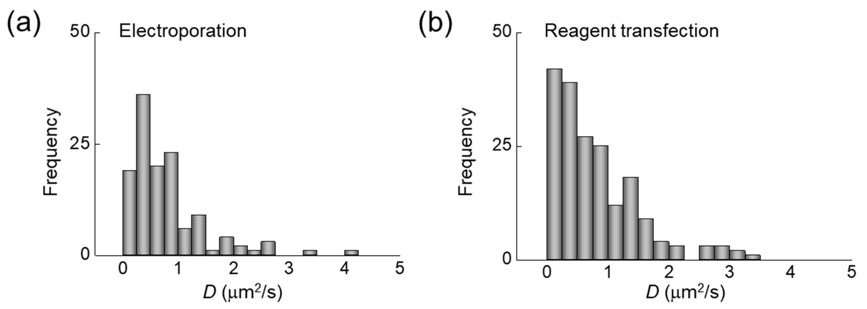 Ijms 22 06433 g005 Ijms 22 06433 g005