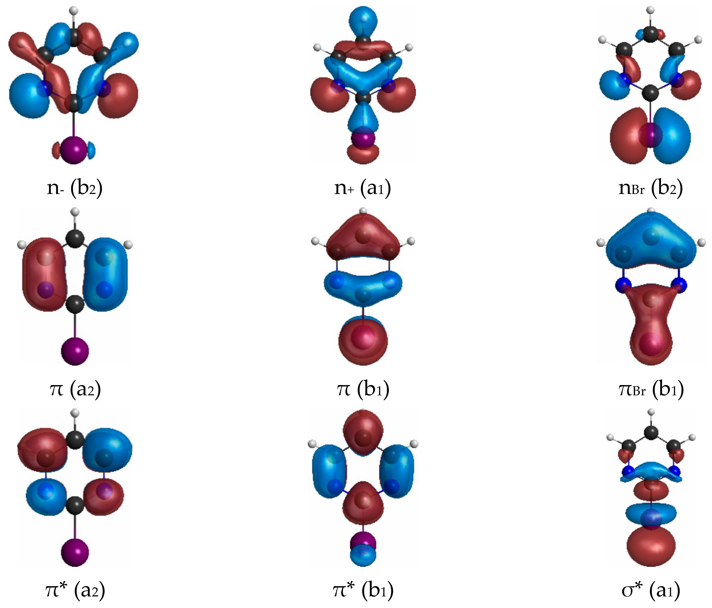 Ijms 22 06460 g002 Ijms 22 06460 g002