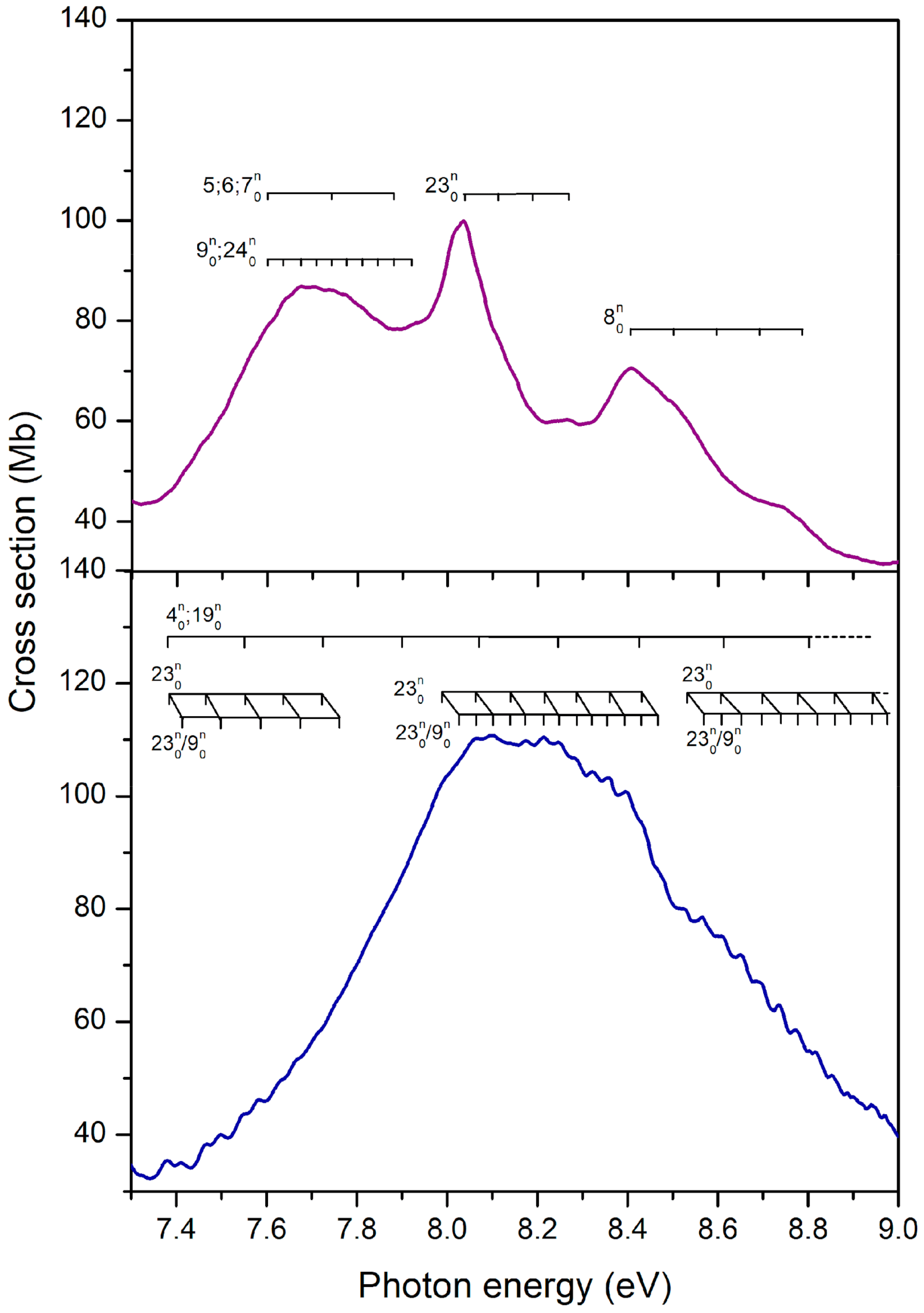 Ijms 22 06460 g011 Ijms 22 06460 g011