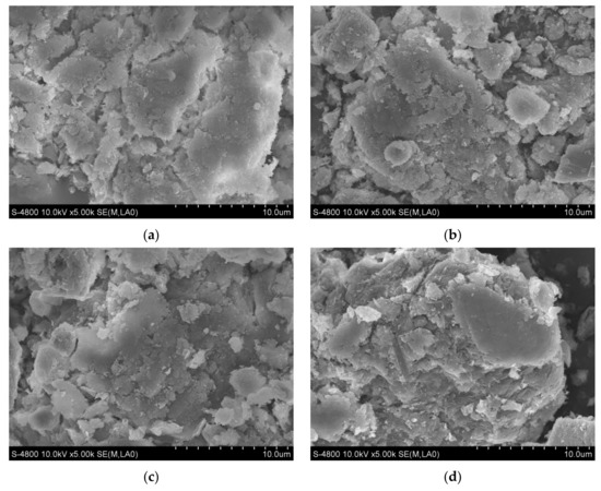 Ijms 22 06465 g0a2a Ijms 22 06465 g0a2a