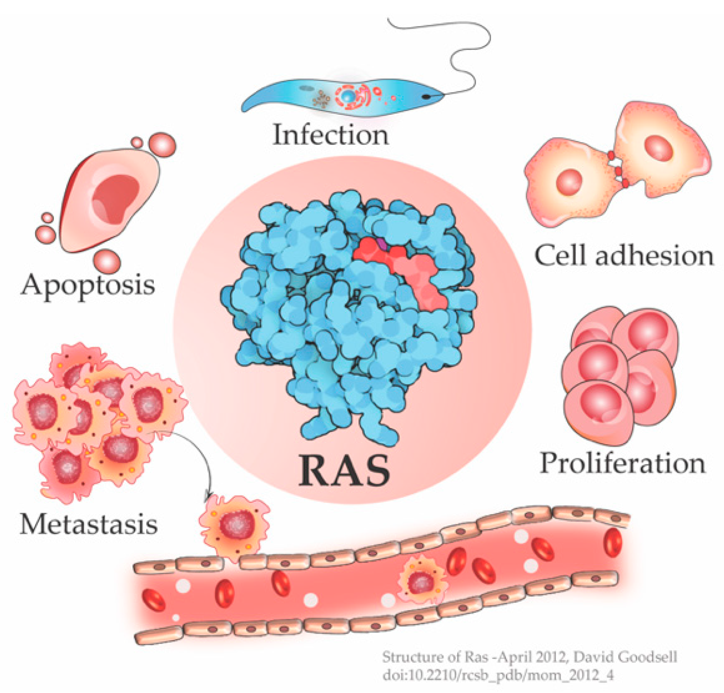 Ijms 22 06508 g001 Ijms 22 06508 g001