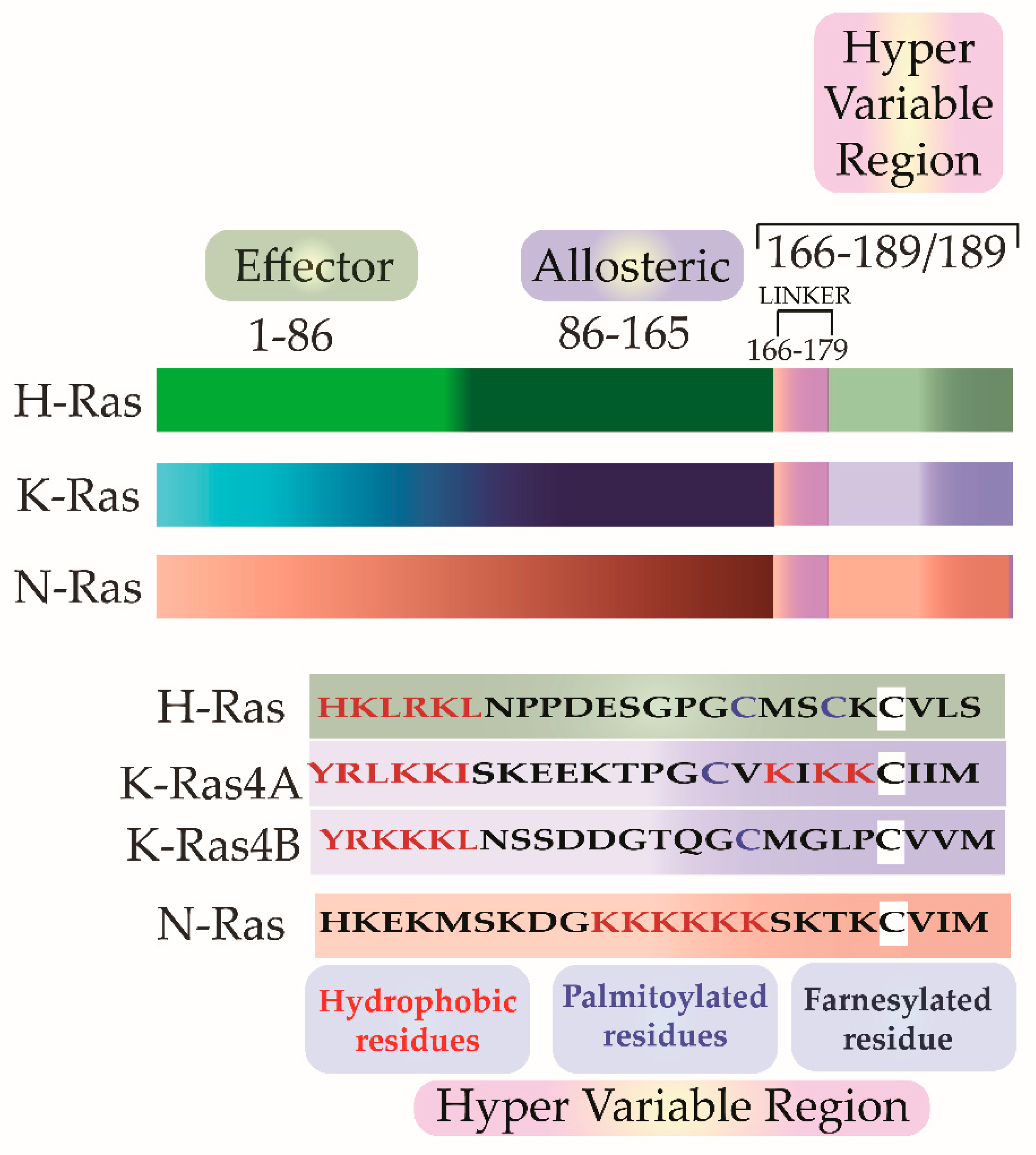 Ijms 22 06508 g002 Ijms 22 06508 g002