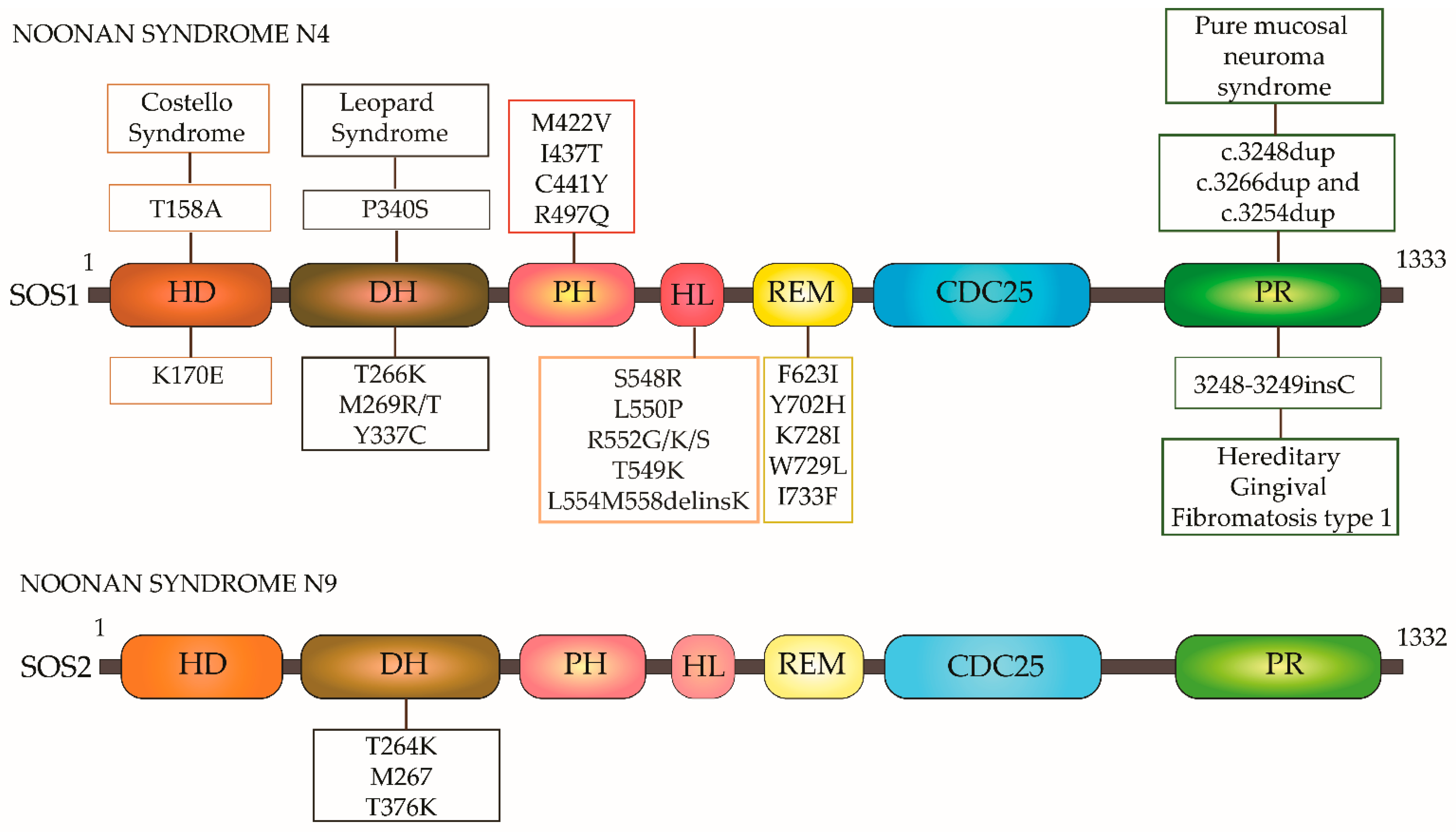 Ijms 22 06508 g004 Ijms 22 06508 g004